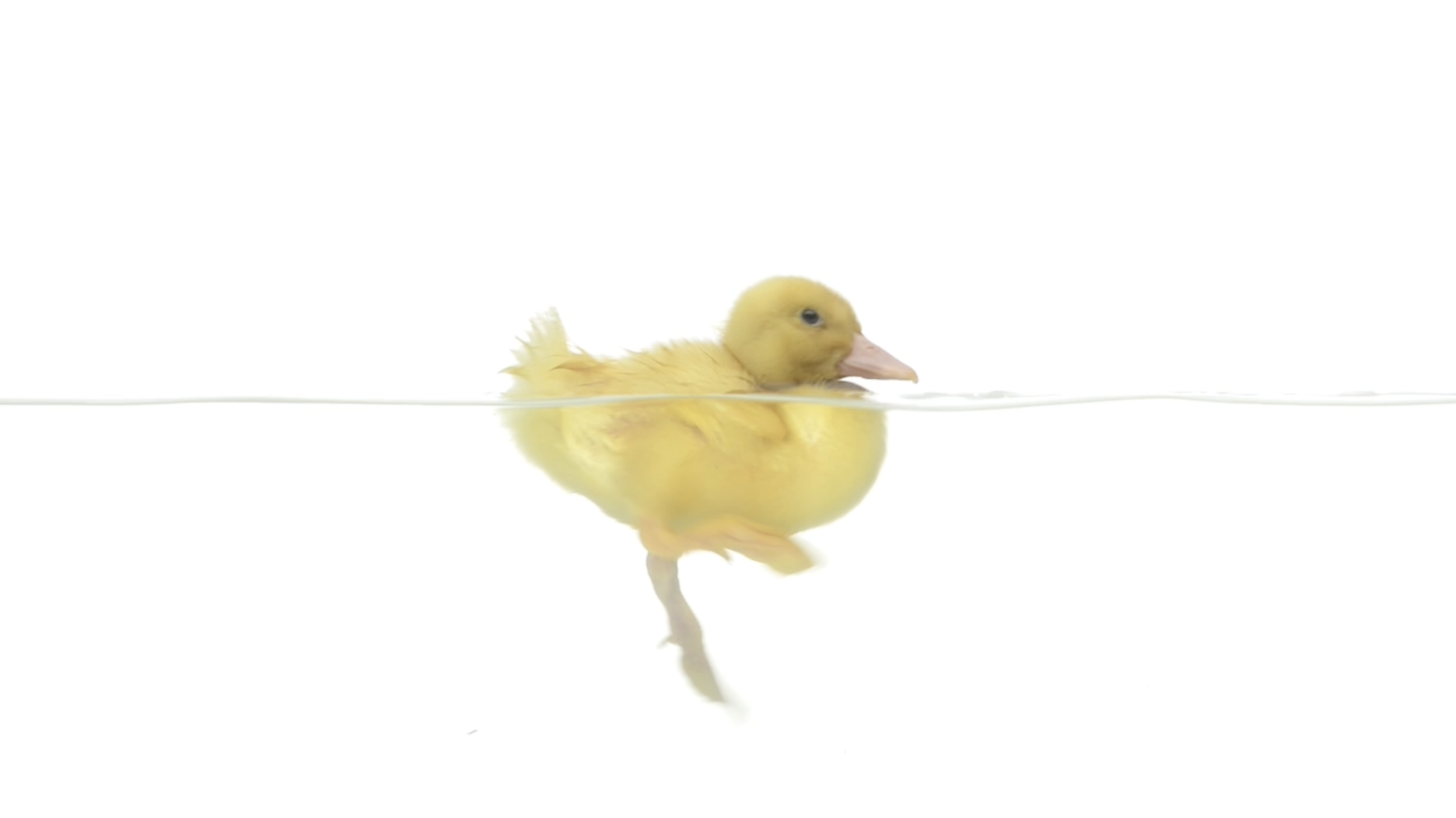 Screen Shot 2022-03-23 at 12.24.15 PM.png