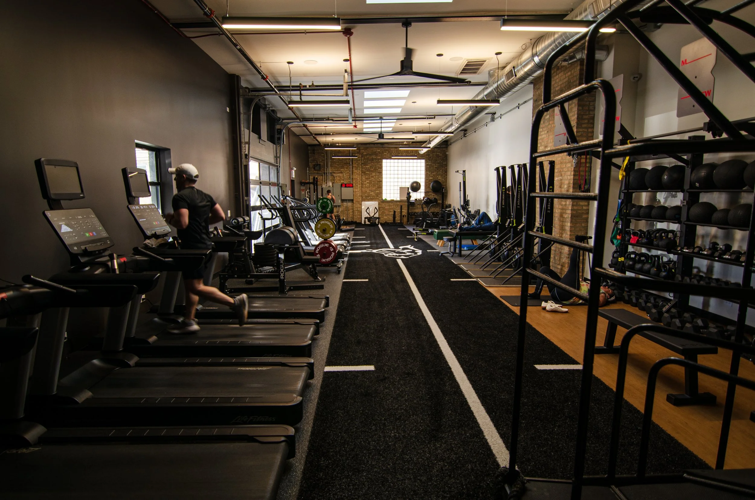 New Beginnings — Cheetah Gym