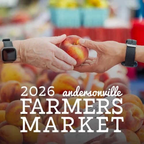 FM-website-square-2026-e1768413967843.jpg