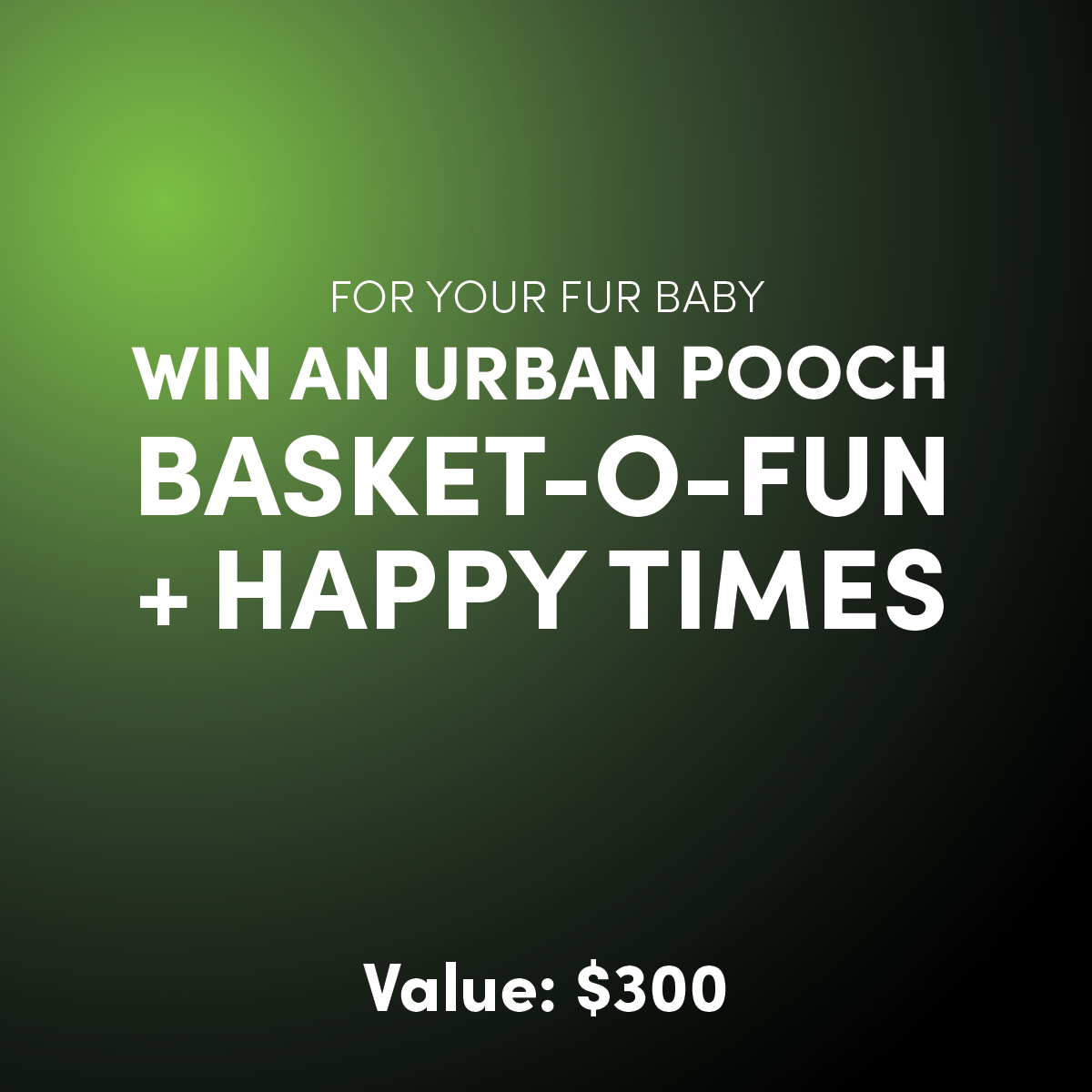 Urban-Pooch-2.png