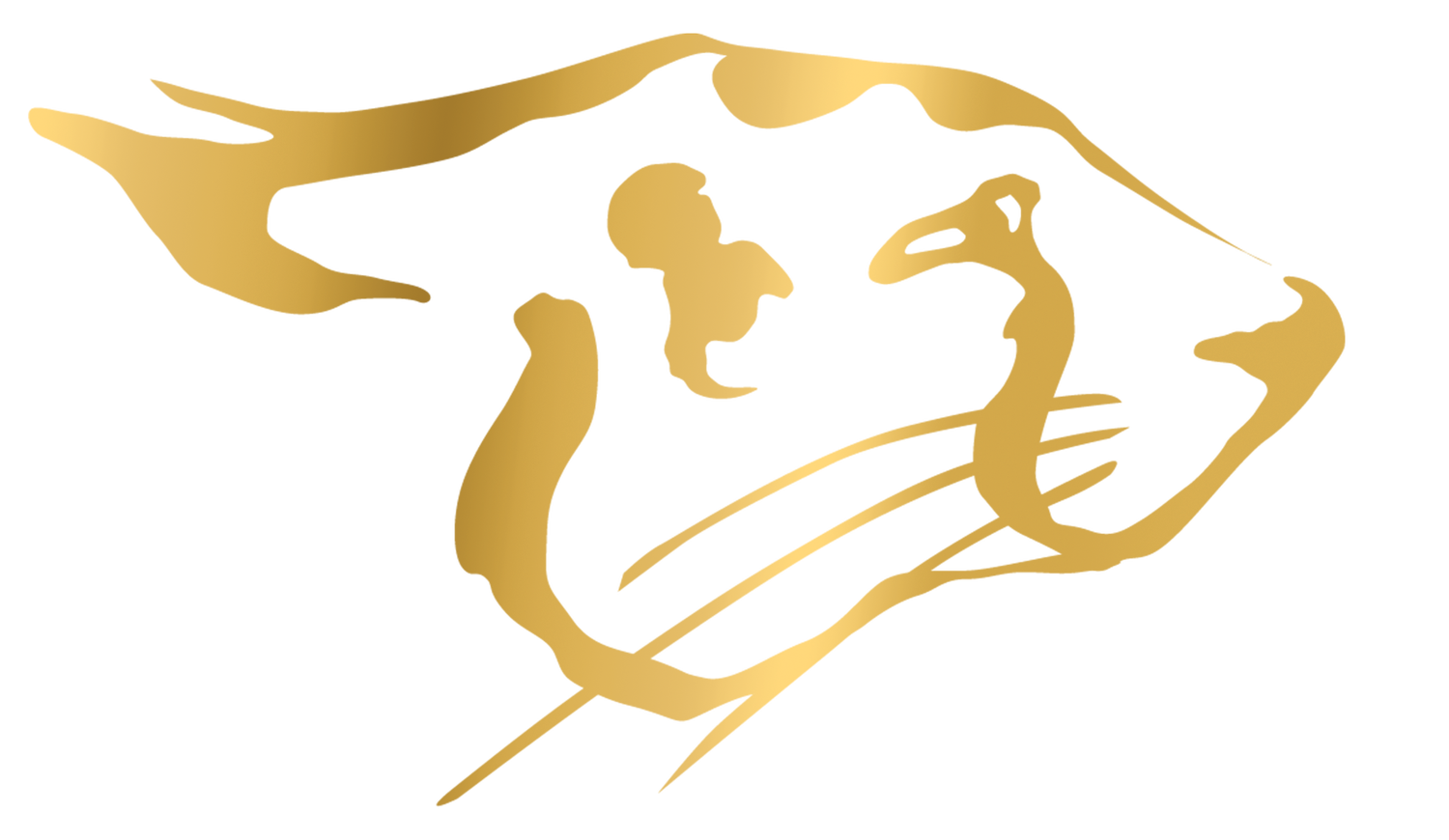 Cheetah Gym