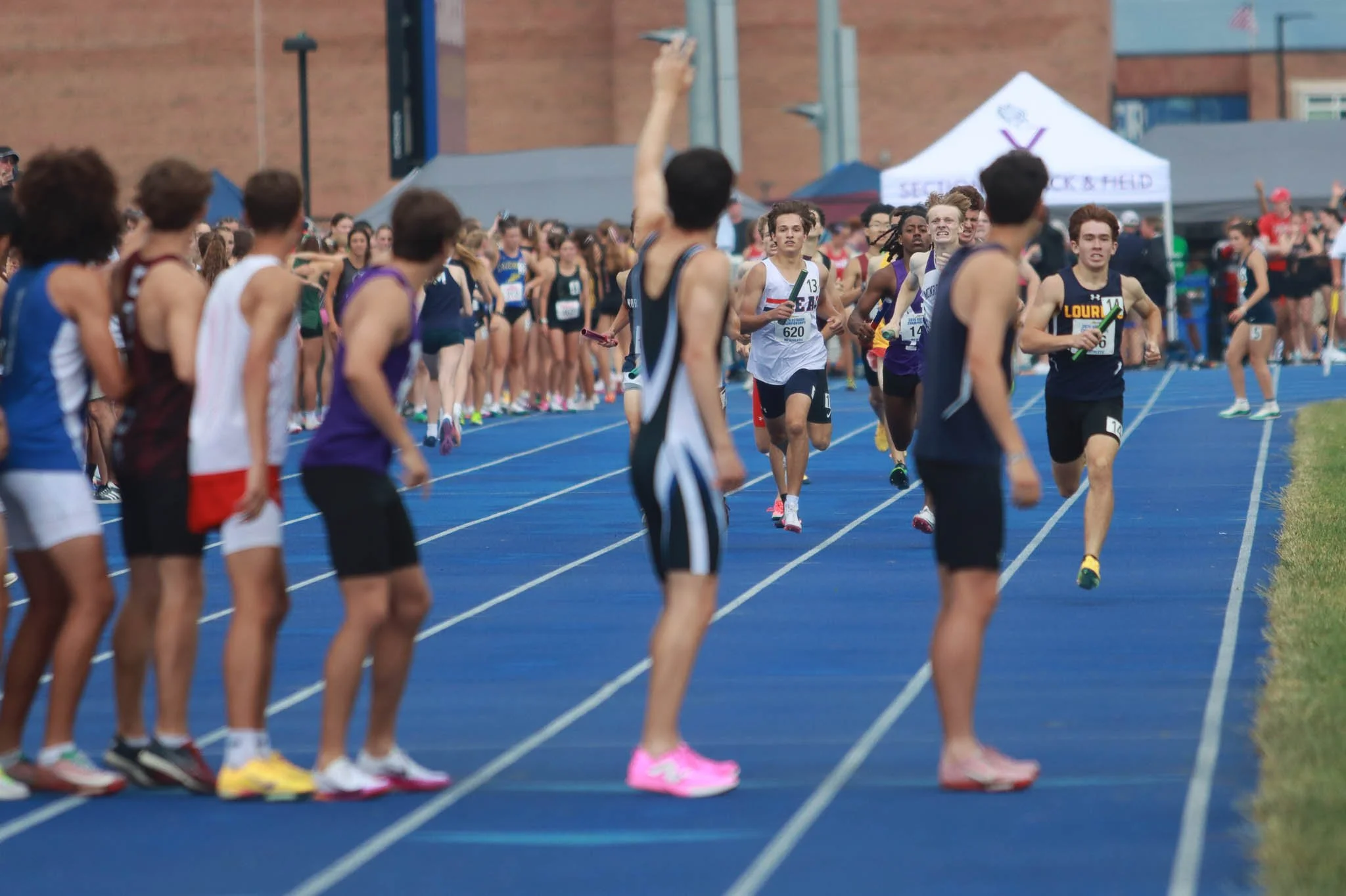 IMG_8374.jpg