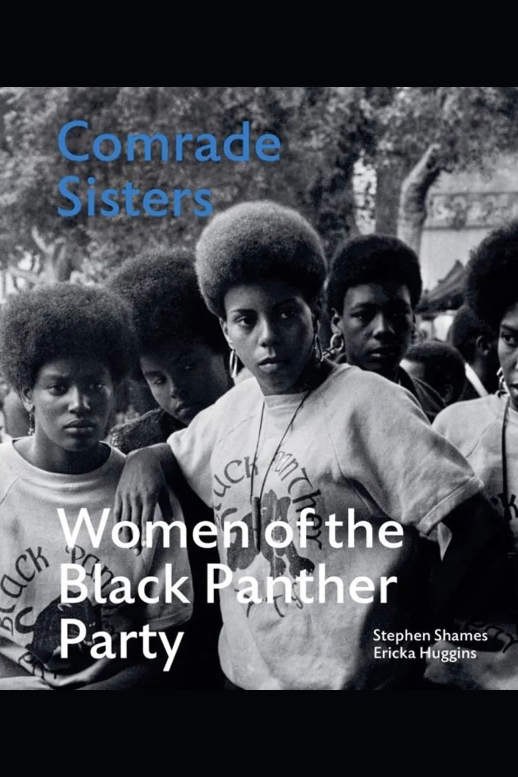 Recommended Reading Comrade Sisters.png
