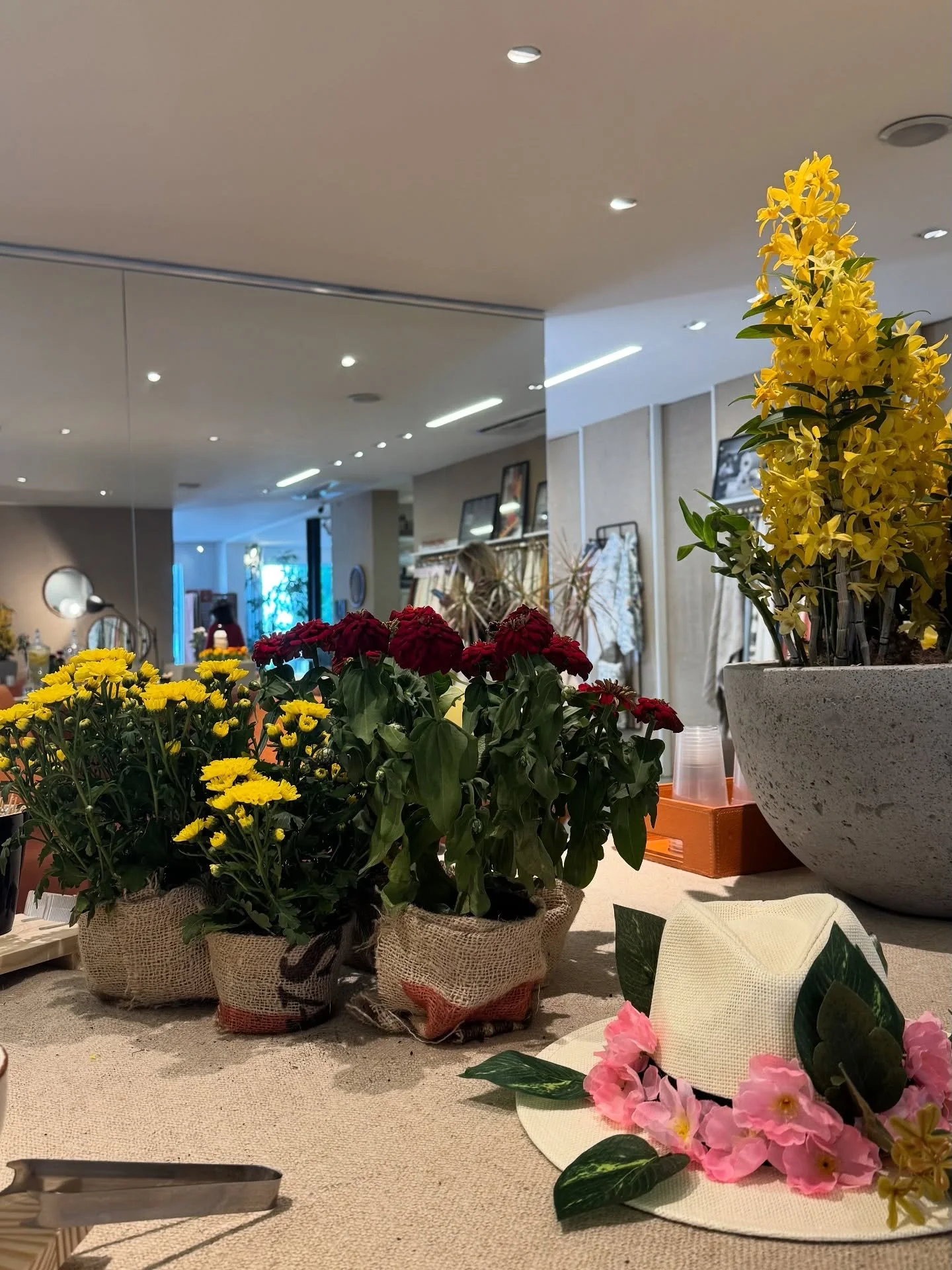 A esta&ccedil;&atilde;o mais florida do ano trouxe ainda mais vida para a nossa Alameda!
O Festival da Primavera foi pura energia, com vitrines encantadoras, cores, m&uacute;sica e muita alegria no ar.

Confira alguns cliques que registram a beleza e