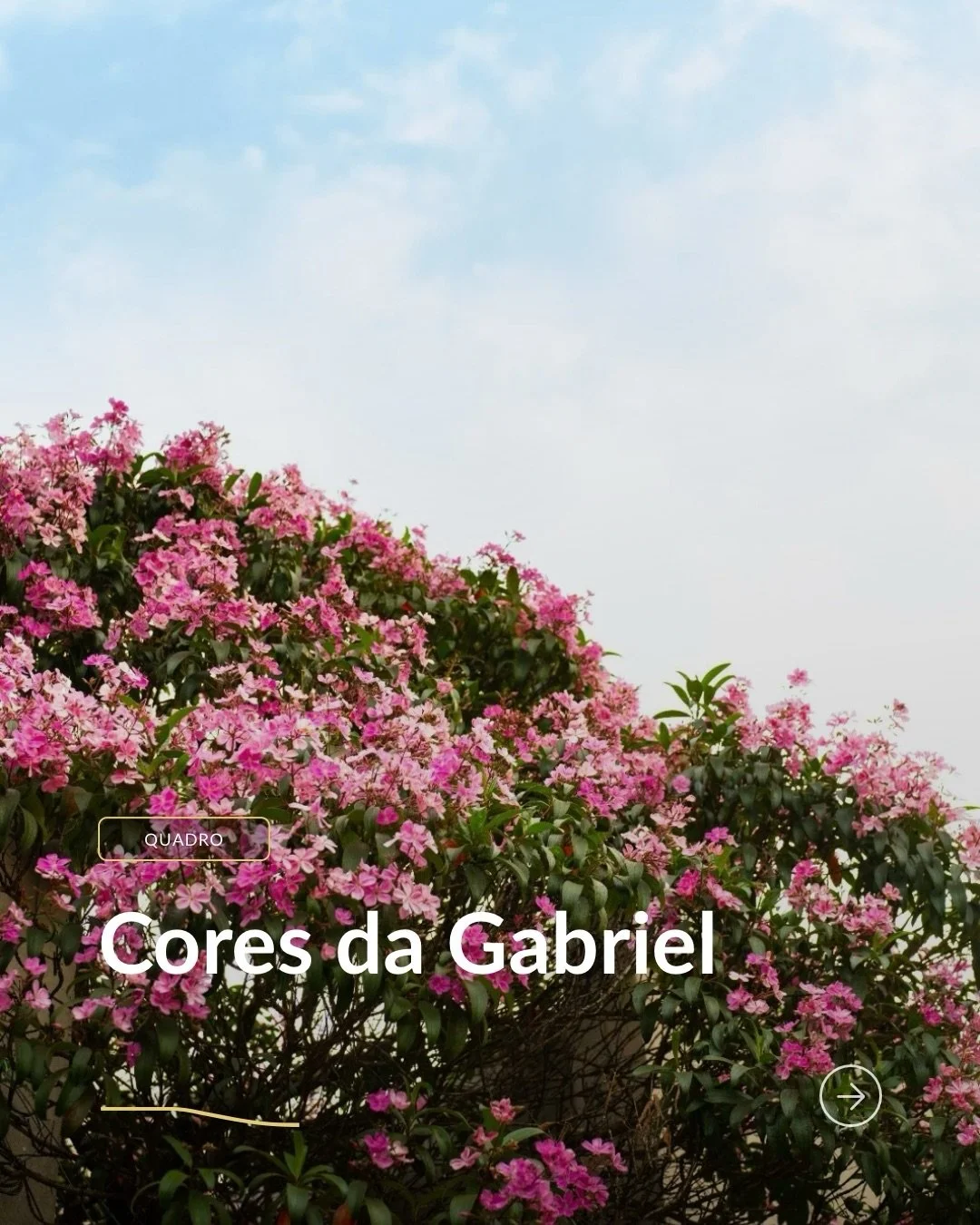 NOVO QUADRO | Cores da Gabriel

No nosso novo quadro, convidamos voc&ecirc; a conhecer um pouco mais do universo criativo das lojas da Alameda Gabriel. Essa semana, apresentamos a cor Cloud Dancer, anunciada pela Pantone como a cor de 2026.
A cor bra