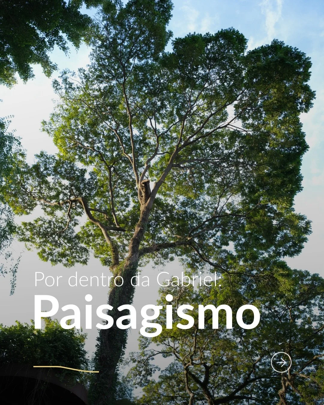 T&atilde;o importantes para o ser humano, seja nos jardins ou nas &aacute;rvores das cal&ccedil;adas, o paisagismo oferece conforto t&eacute;rmico e encantam os nossos olhos, identificando boas sensa&ccedil;&otilde;es, qualidade de vida e a&ccedil;&o