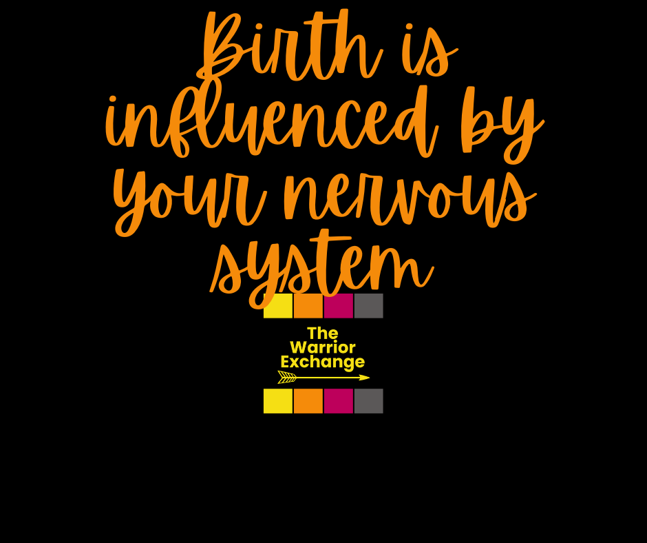 A Fun Birth Fact: The Nervous System Plays a Role in Labor