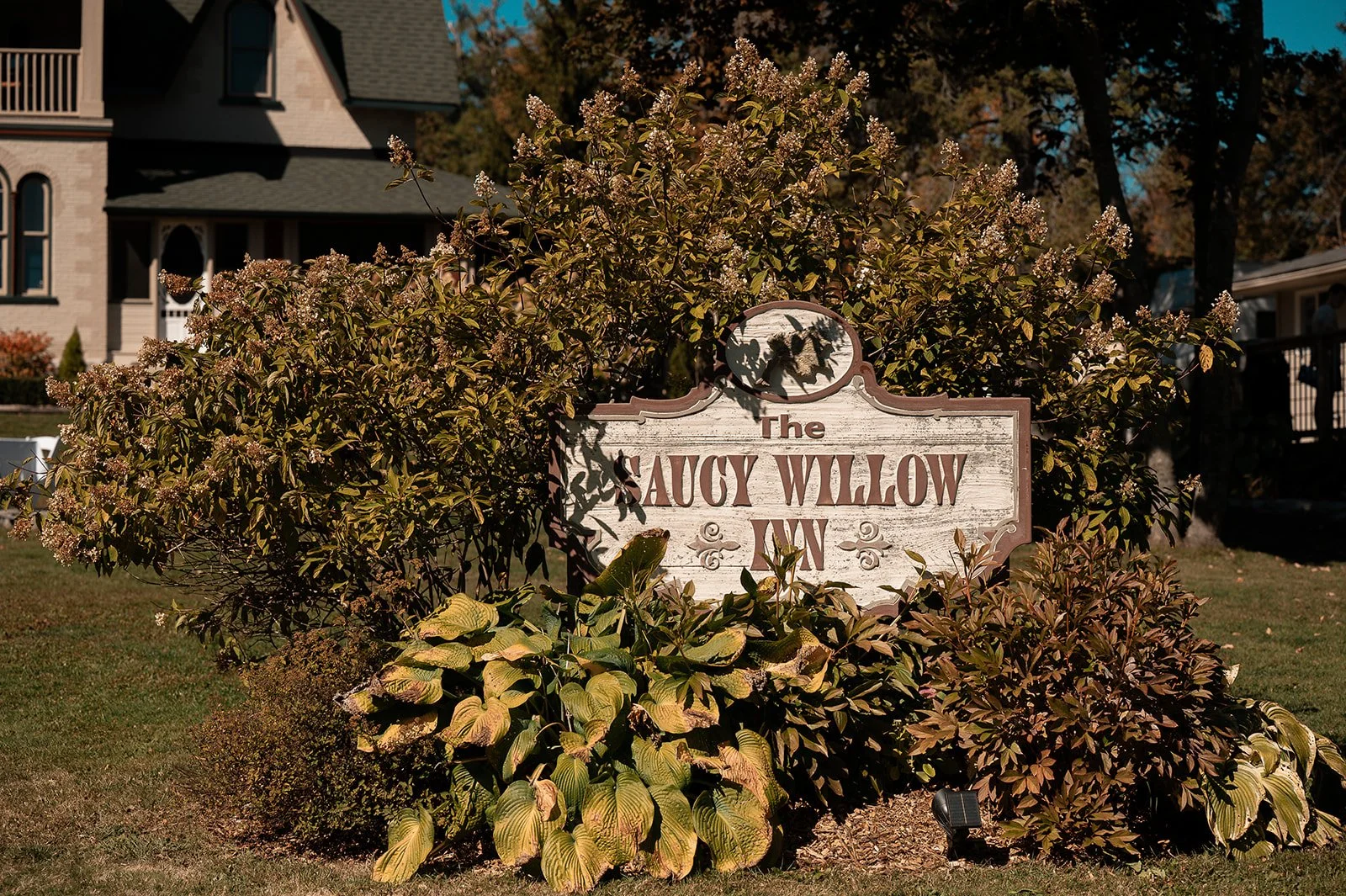 Pop-Up Wedding at The Saucy Willow Inn