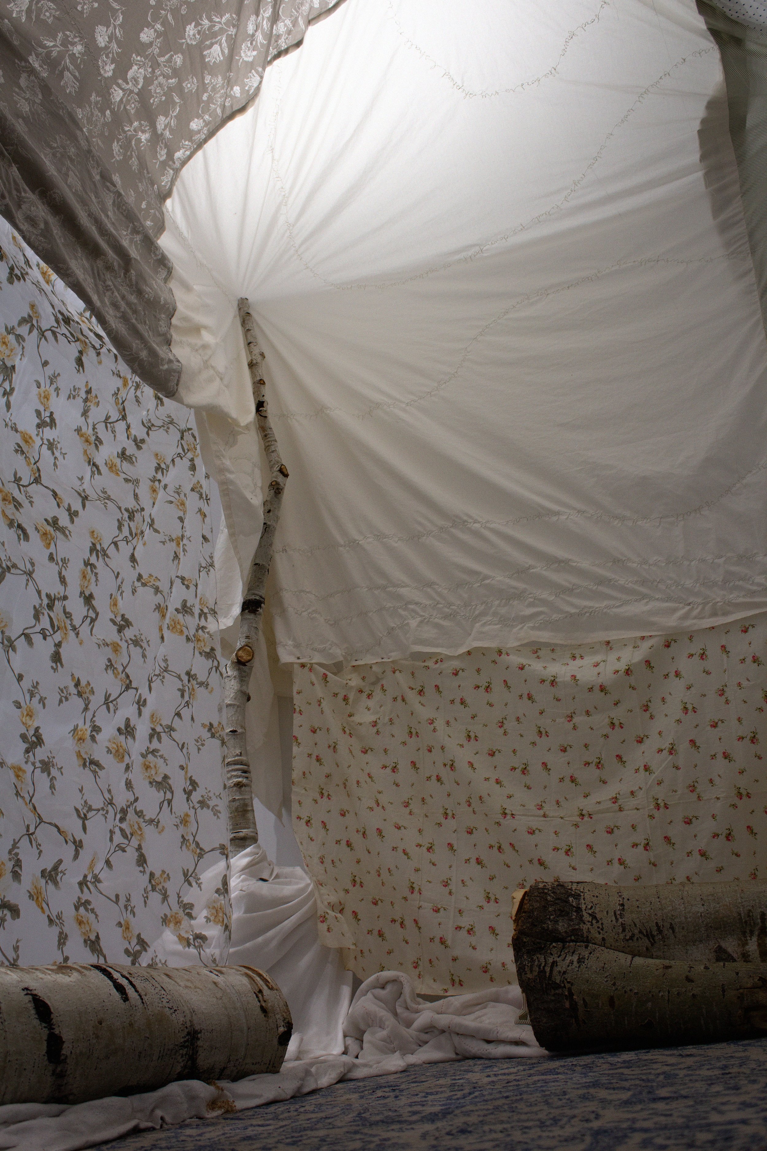Reclaiming Eden Interior (detail)