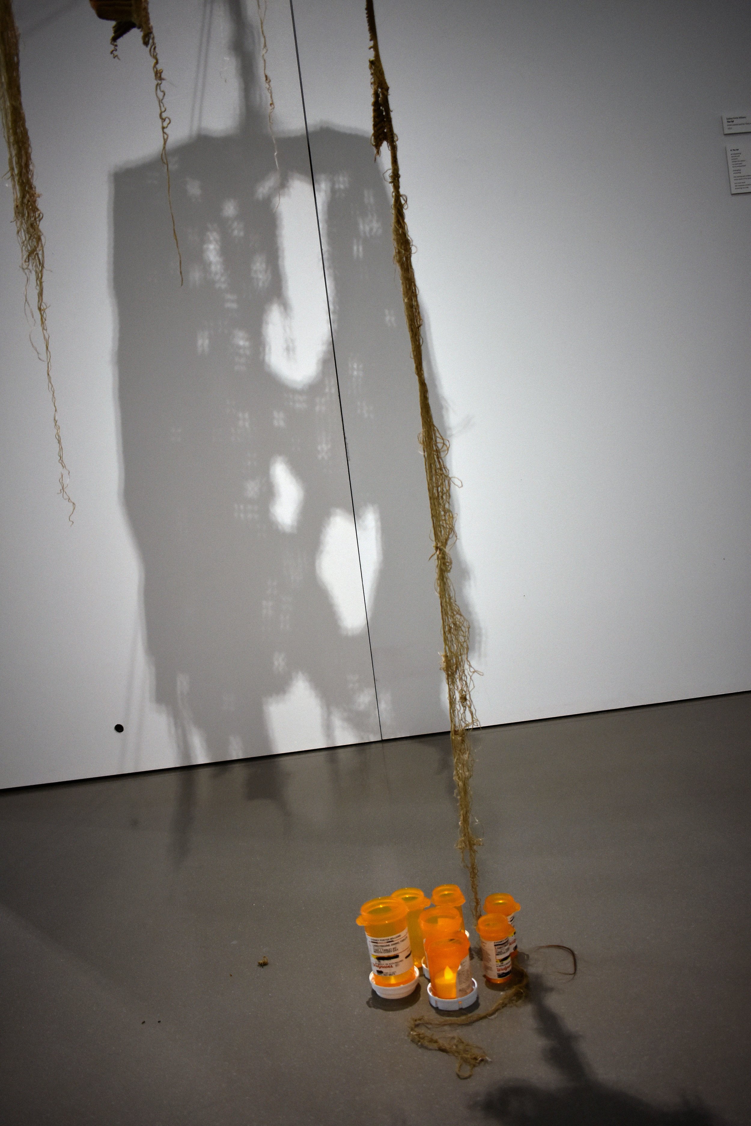 The Fall Shadow (detail)