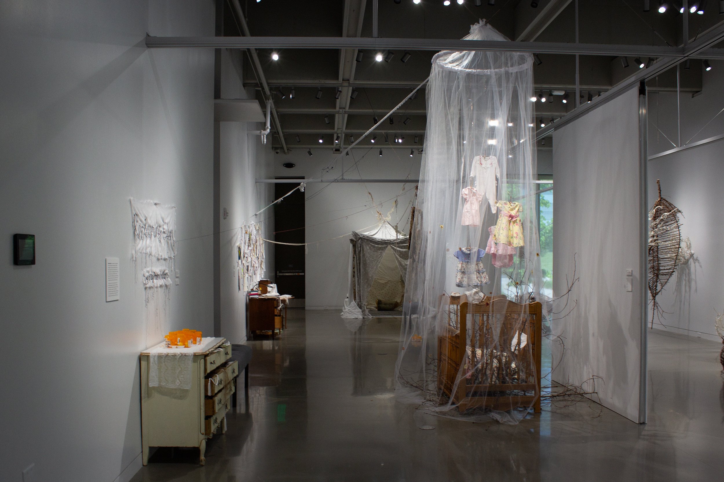 Reclaiming Eden at the Alvin Gittins Gallery, University of Utah, May 2024