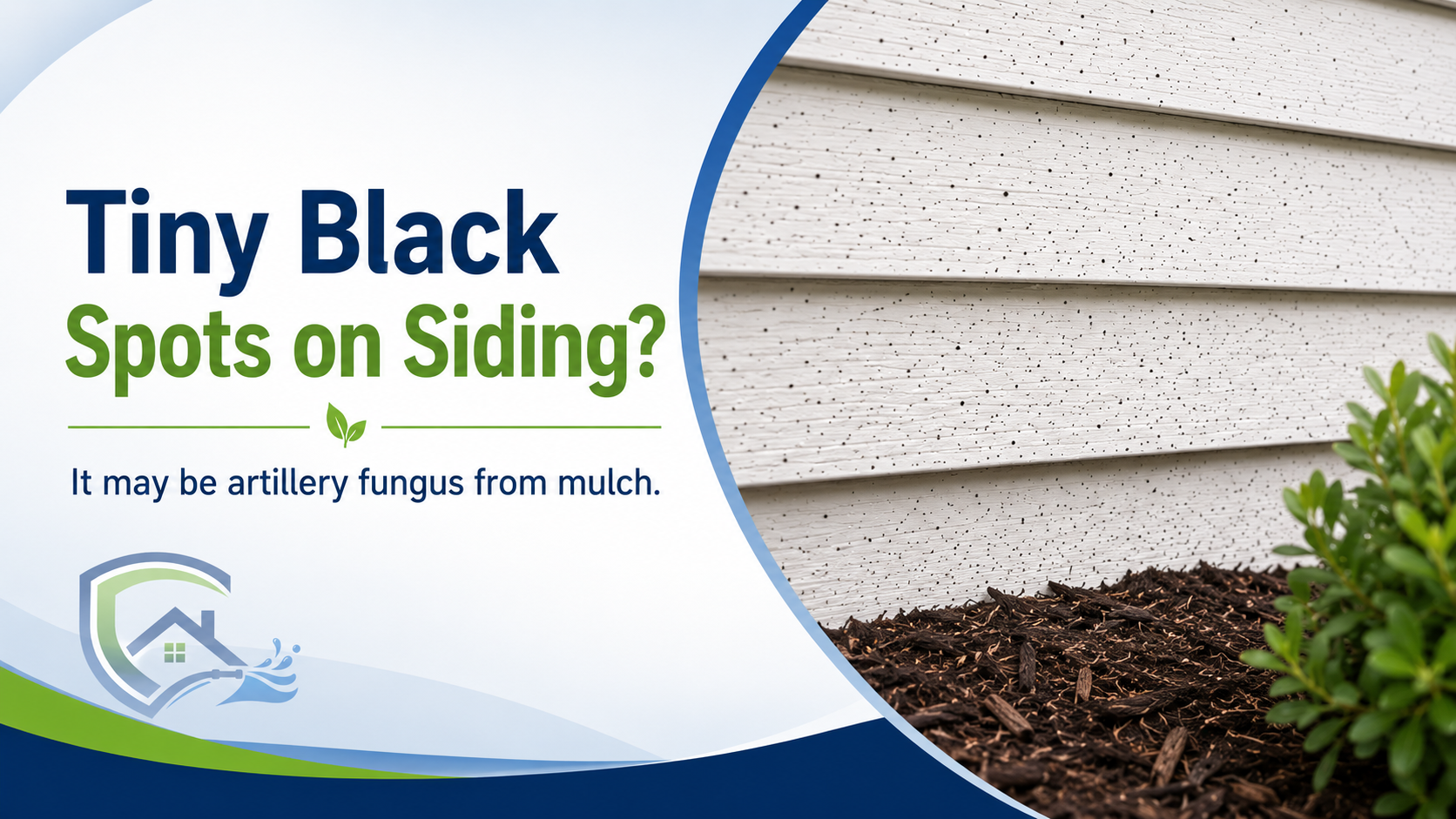What Are These Tiny Black Spots on My Siding?