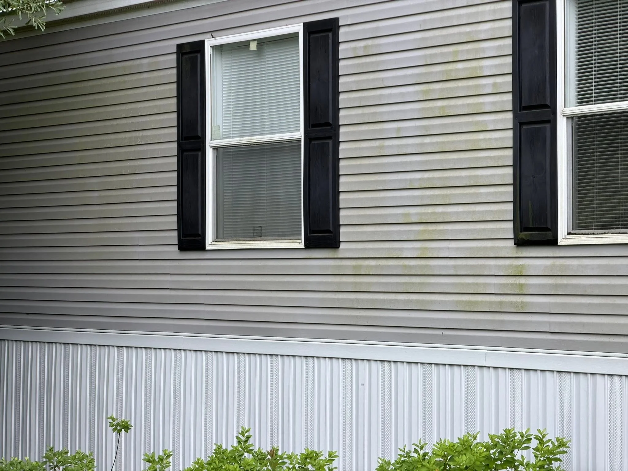 Before photo of vinyl siding before house washing.