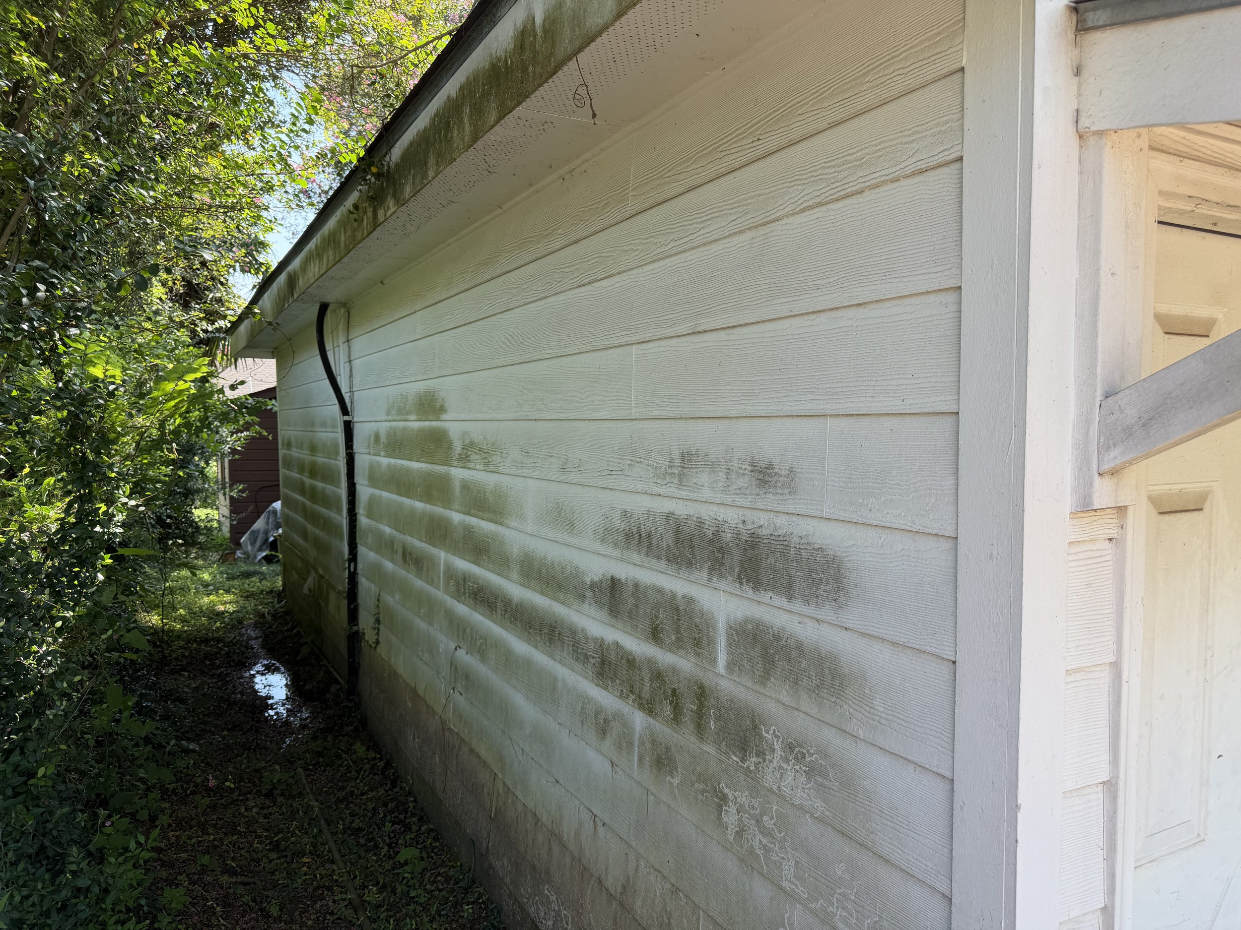 Algae and mildew staining on beige house siding beneath the gutters before exterior soft washing.