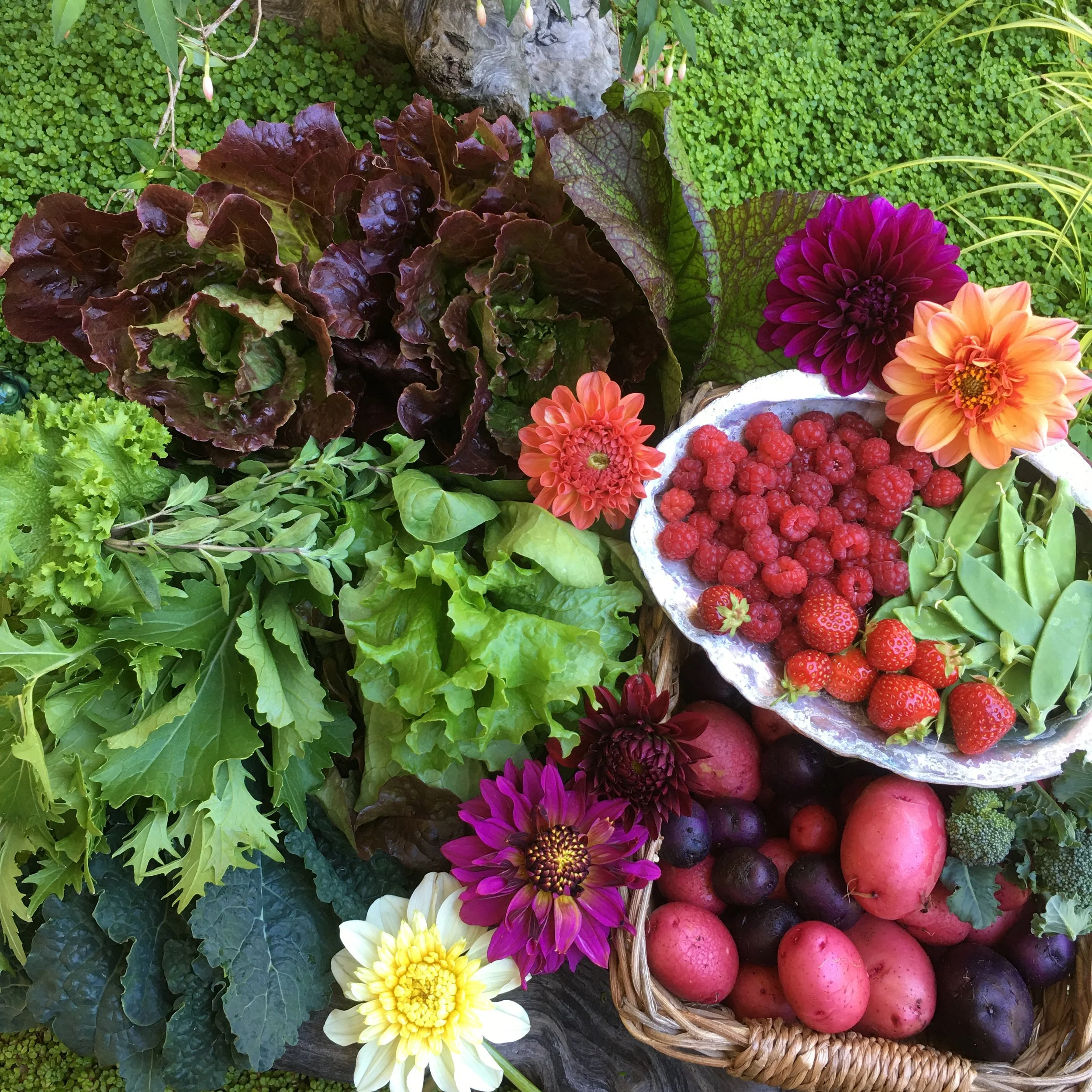 Farm, Food & Florals