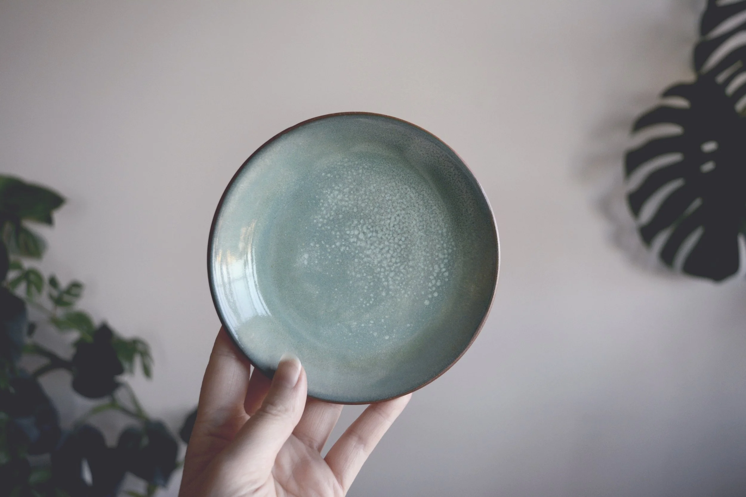 Nyx Rowan_Seafoam Dish.jpg