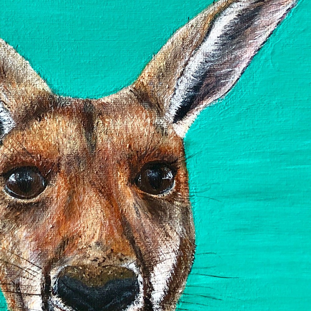 Roger-Roo-Close-up.jpg