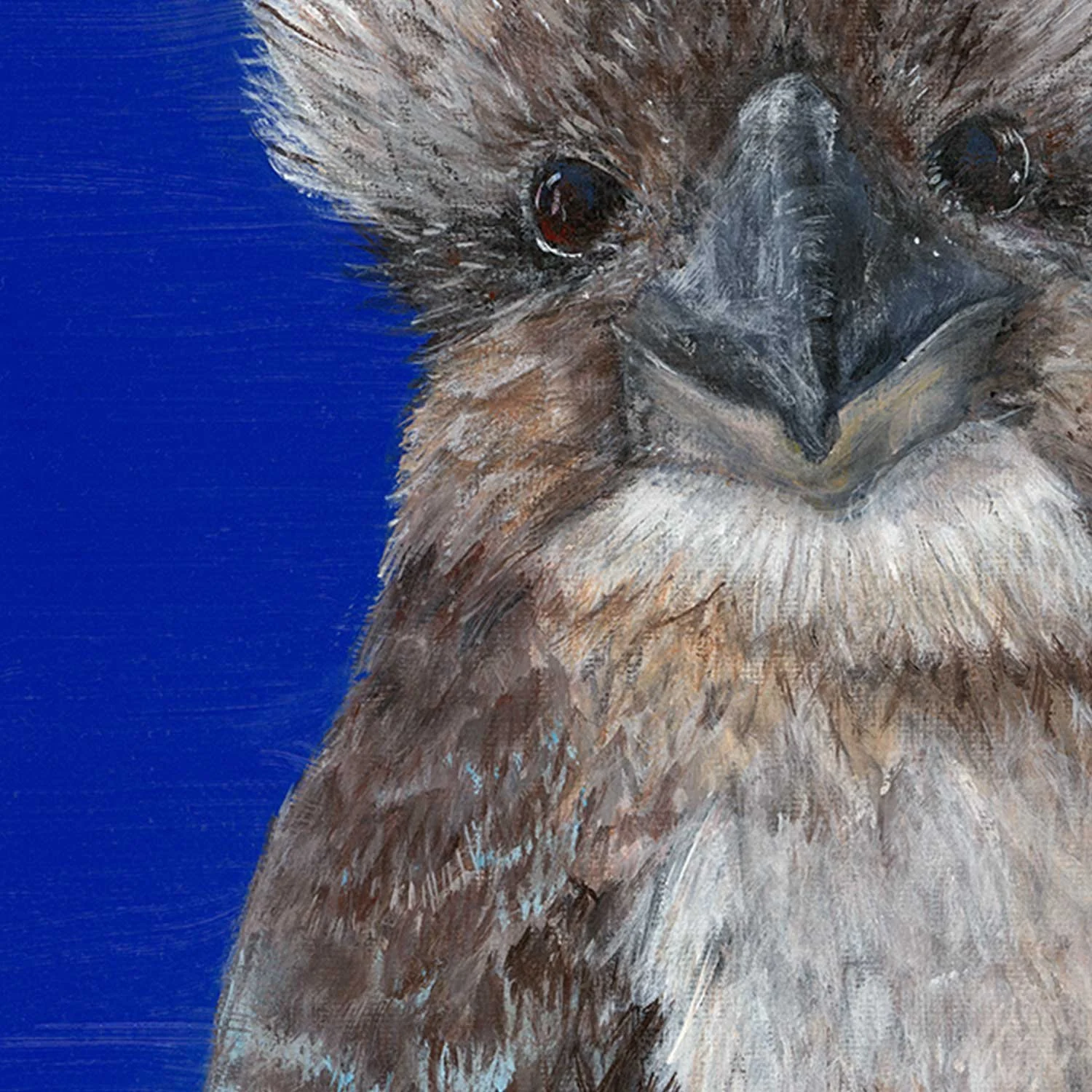 Buddy-close-up.jpg