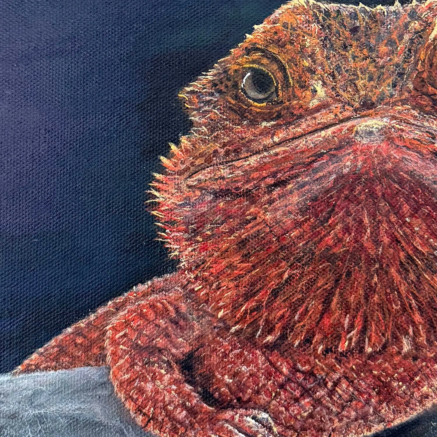 Gus-close-up.jpg