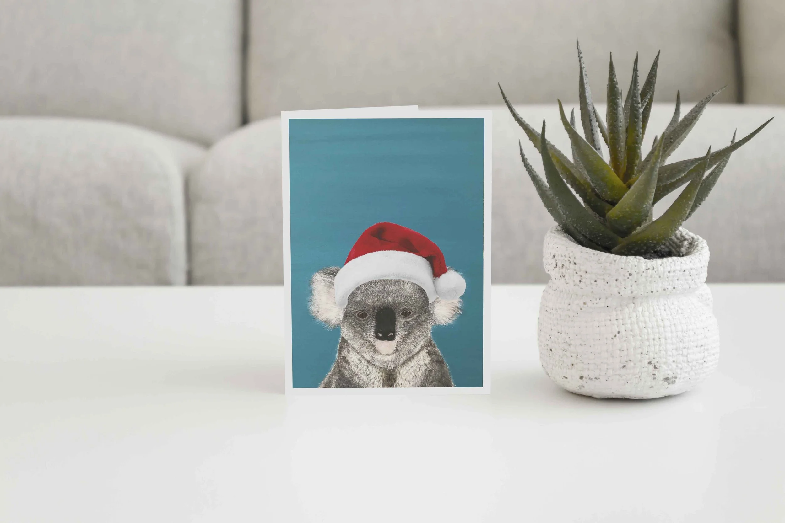 Steve Xmas.jpg
