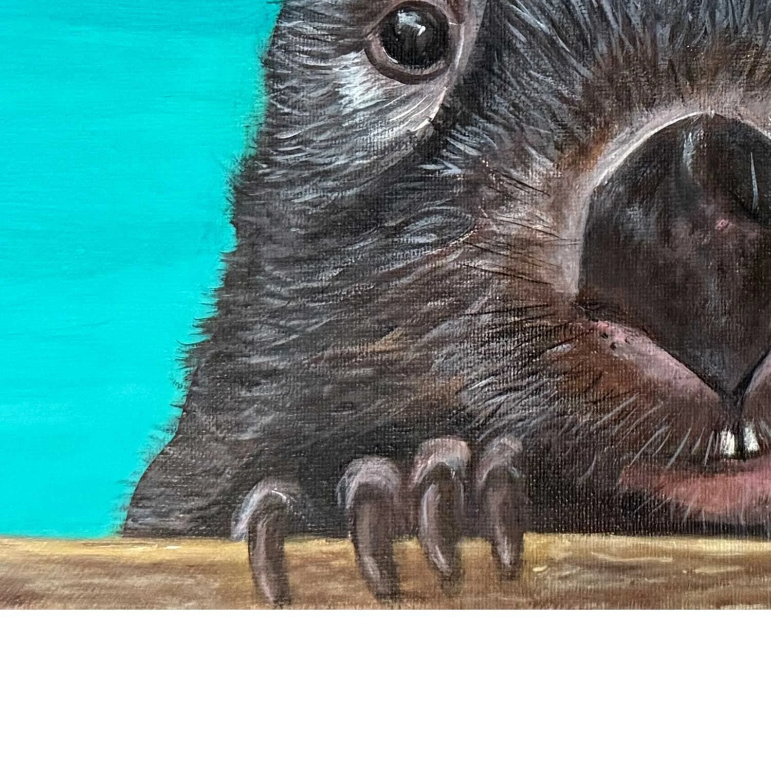 Clyde-close-up.jpg