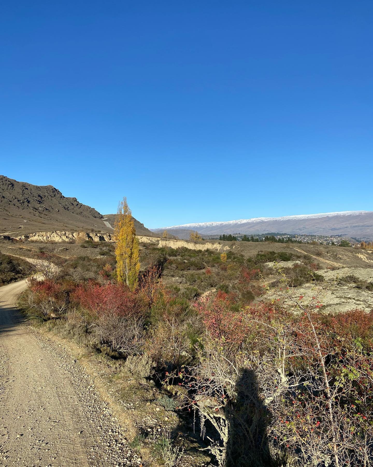 Autumn hiking&hellip;. I love this time of year (I love all times of year tbh)&hellip;. The cold crisp mornings and the smell of the leaves as they lay on the ground, as nature prepares for its winters sleep. 🍂🍁