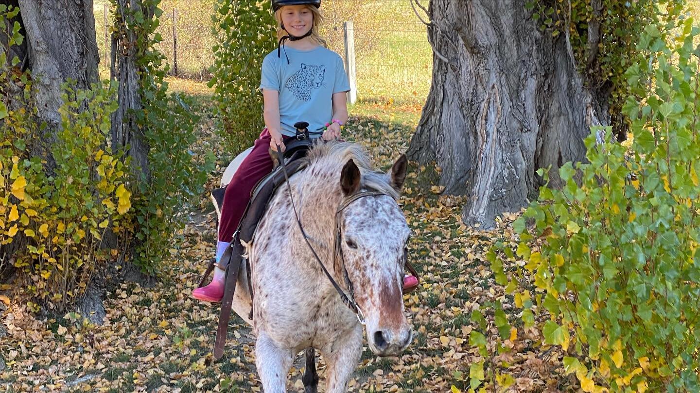 Freddie&rsquo;s first horse trekking #centralotago #horsetrekkingnz #daughters #autumnhorseshoot #autumncentralotago