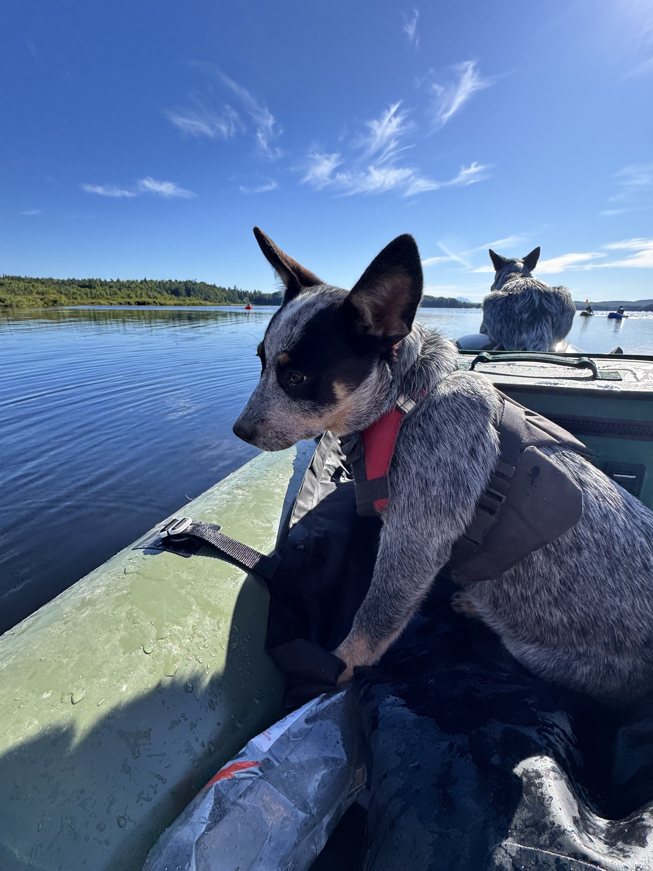 2025 Review, 2026 Preview