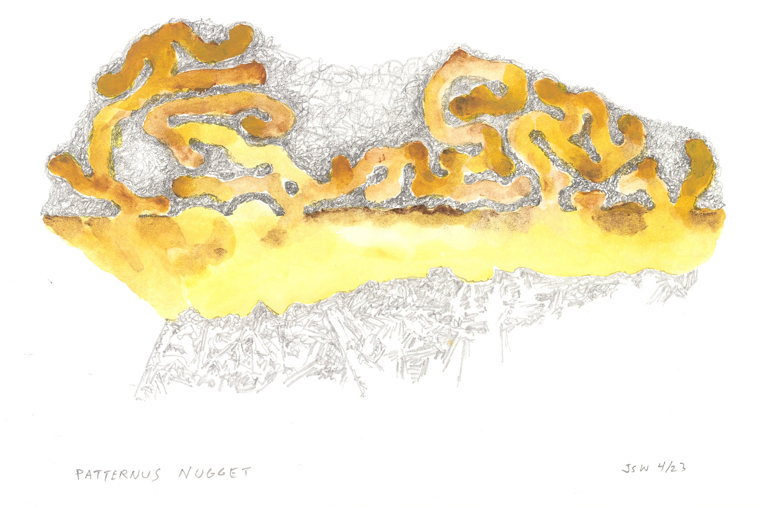Patternus Nugget
2023
Acrylic and pencil on paper
9 x 6 inches
$100.00