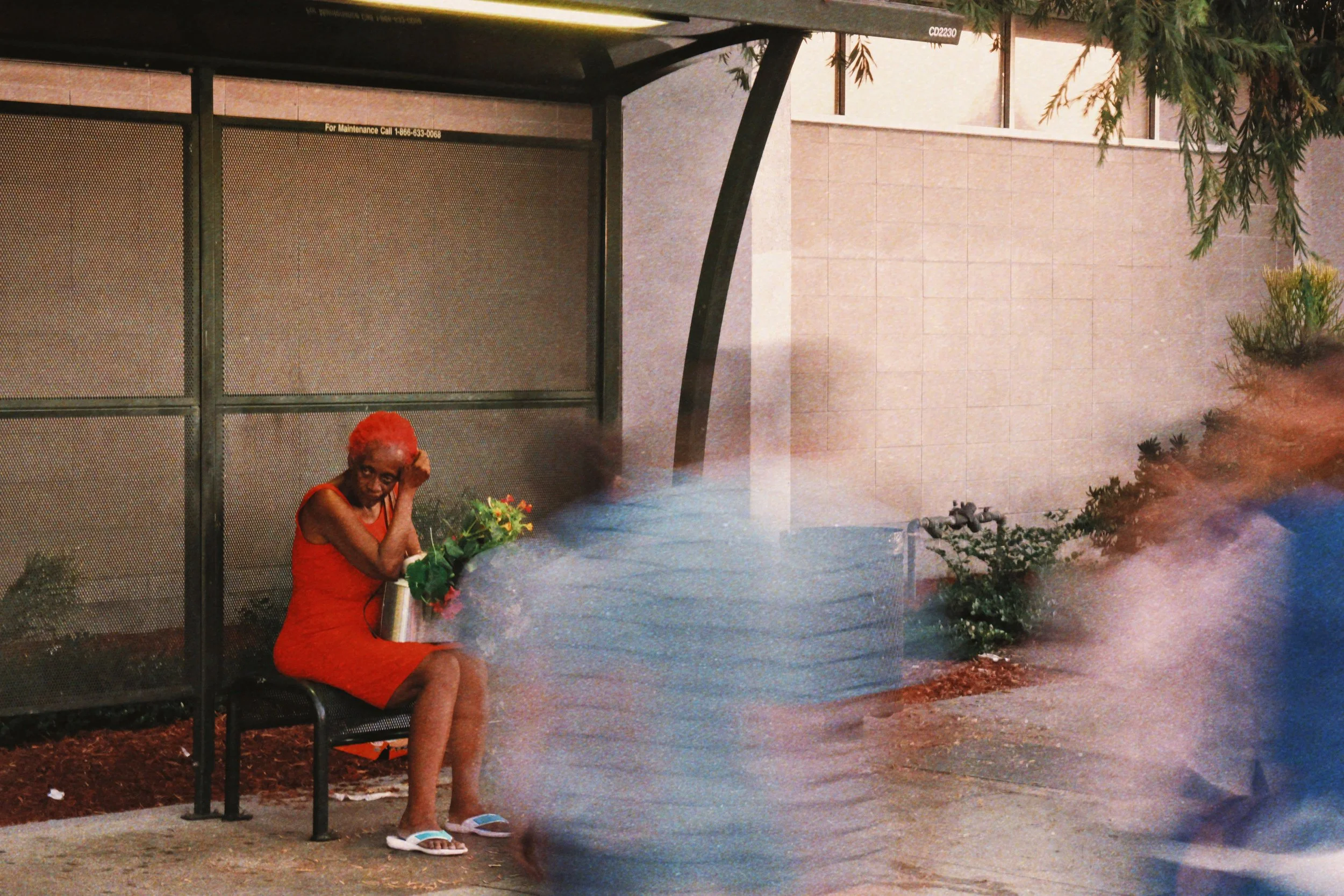 RNI-Films-IMG-B45D7E49-52B4-4727-9EF7-5941AF4AF225 2.JPG