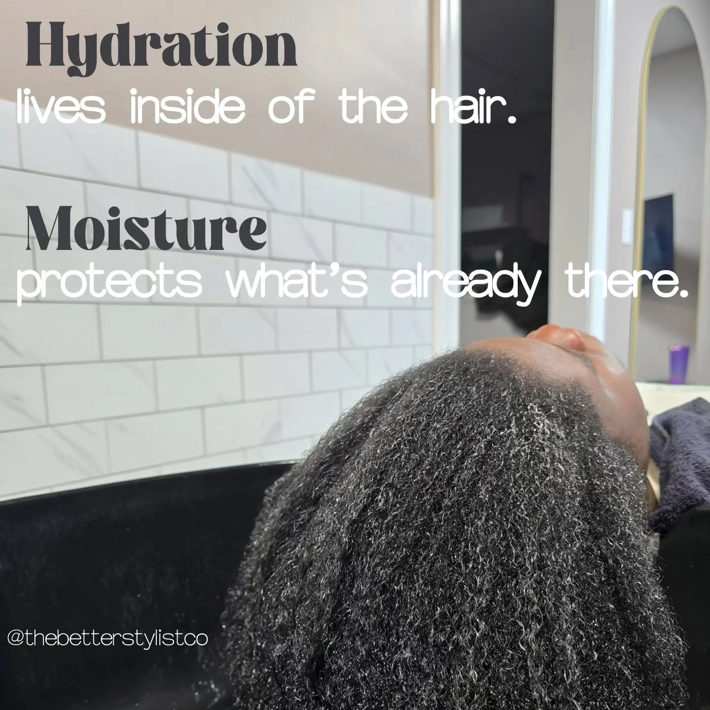 Hydration vs. Moisture

The more you know.

@thebetterstylistco
