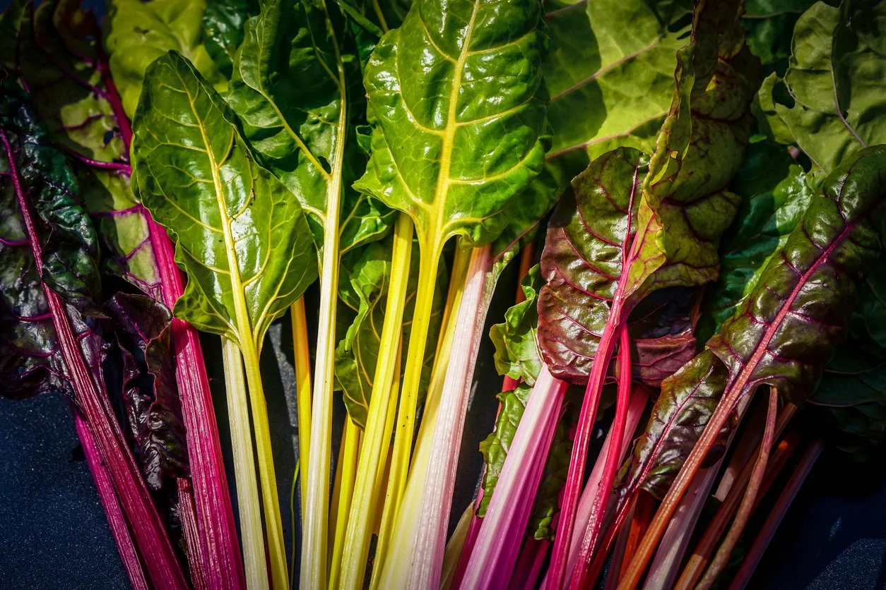 a large bunch of rainbow chard