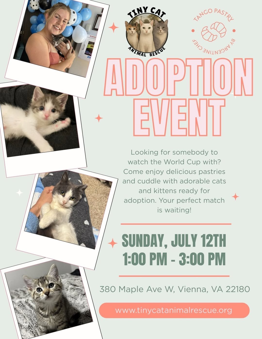 🐱 Cat Adoption Event at Tango Pastry Café in Vienna | Sunday, July 12 | 1:00–3:00 PM