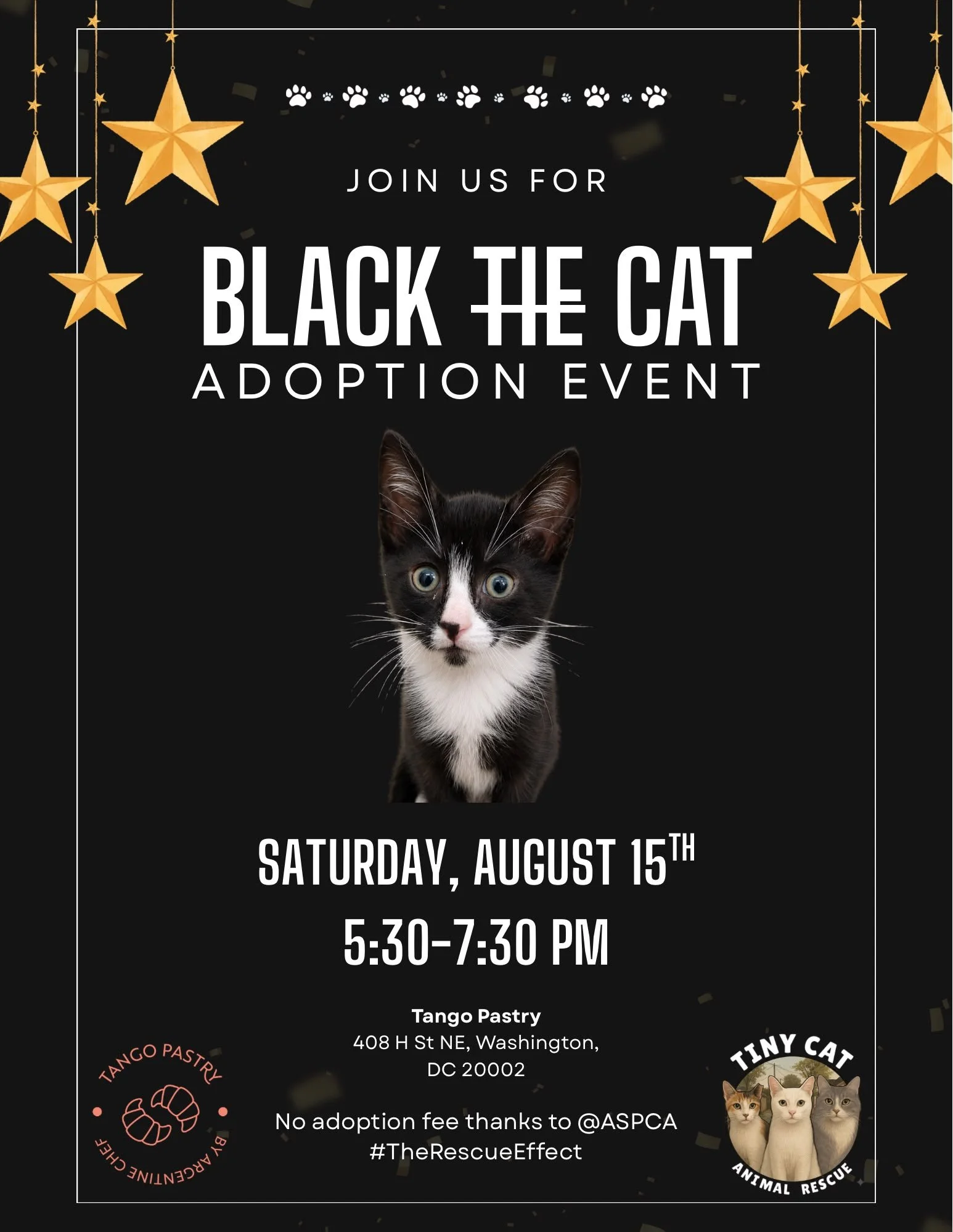 🐱 Black Cat/After Hours Adoption Event at Tango Pastry in DC | Saturday, August 15 | 5:30 PM 7:30 PM