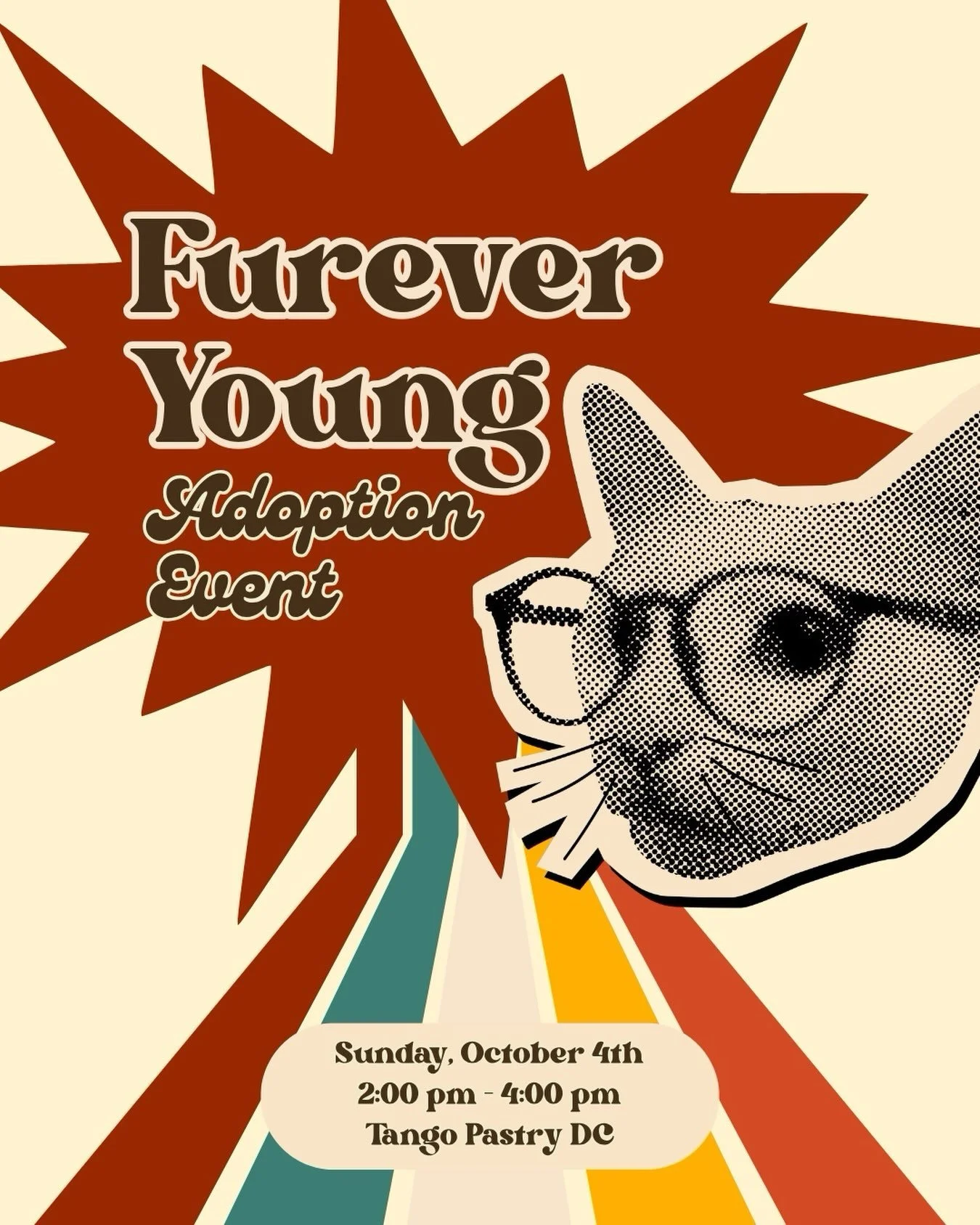 🐾 FUREVER YOUNG ADOPTION EVENT | TANGO PASTRY DC (408 H ST NE) — SUNDAY, OCT 4, 2:00–4:00 PM 🐱🧡