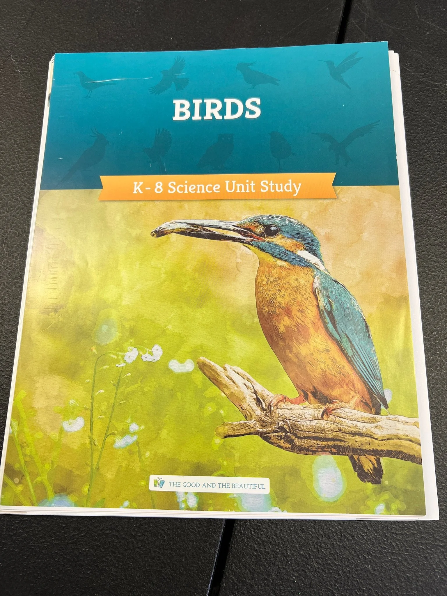 Birds: K-8 Science Unit Study