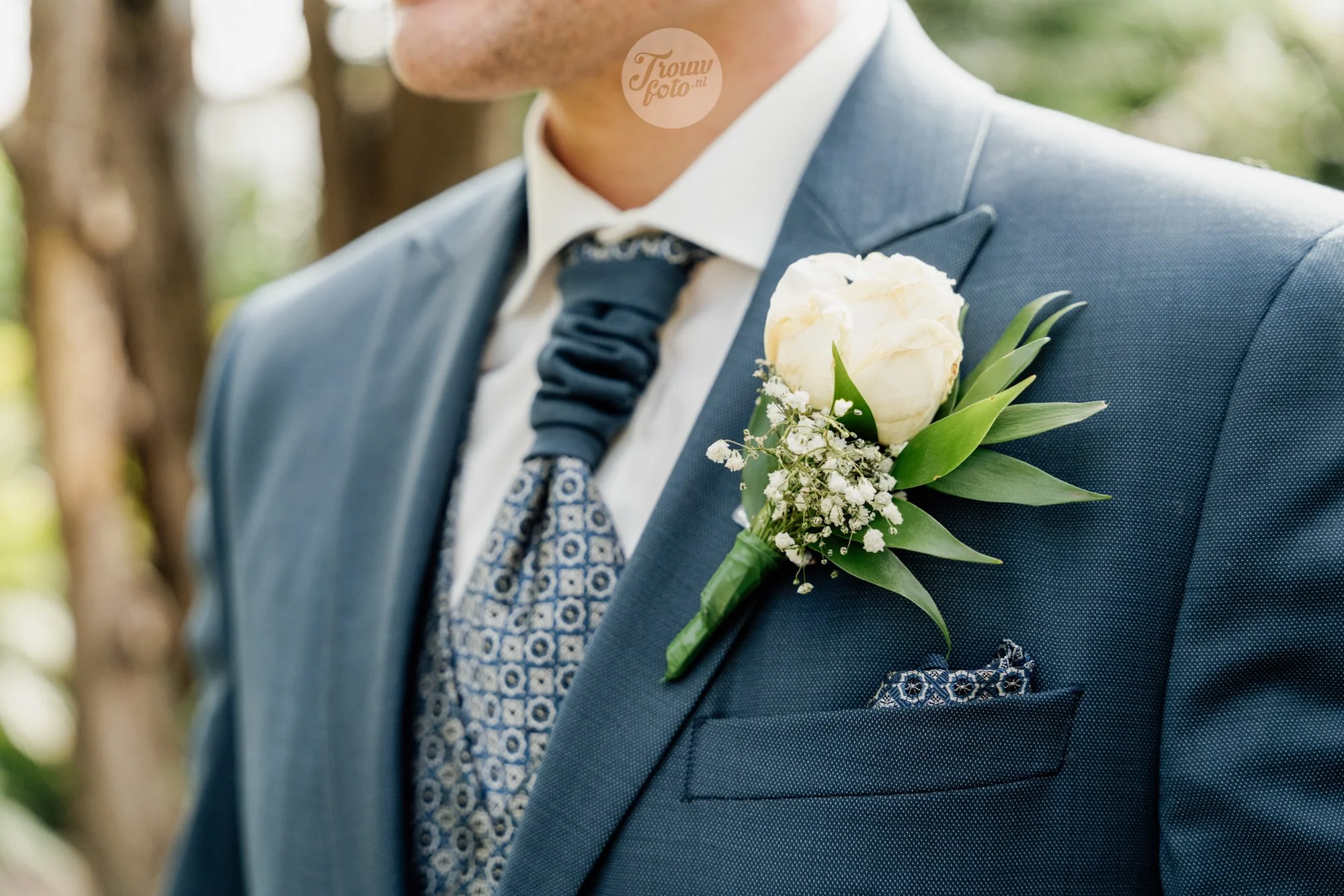 TF894_S379_FAV PROMO.jpg