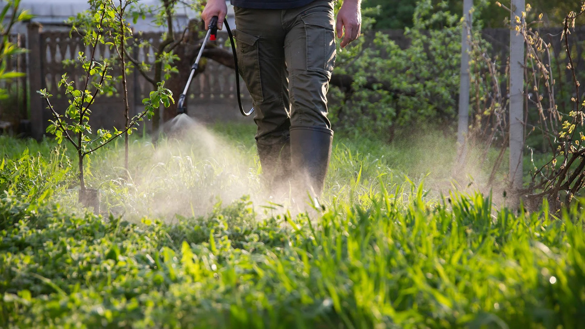 Pest Control Specialist spraying Houston yard for pests