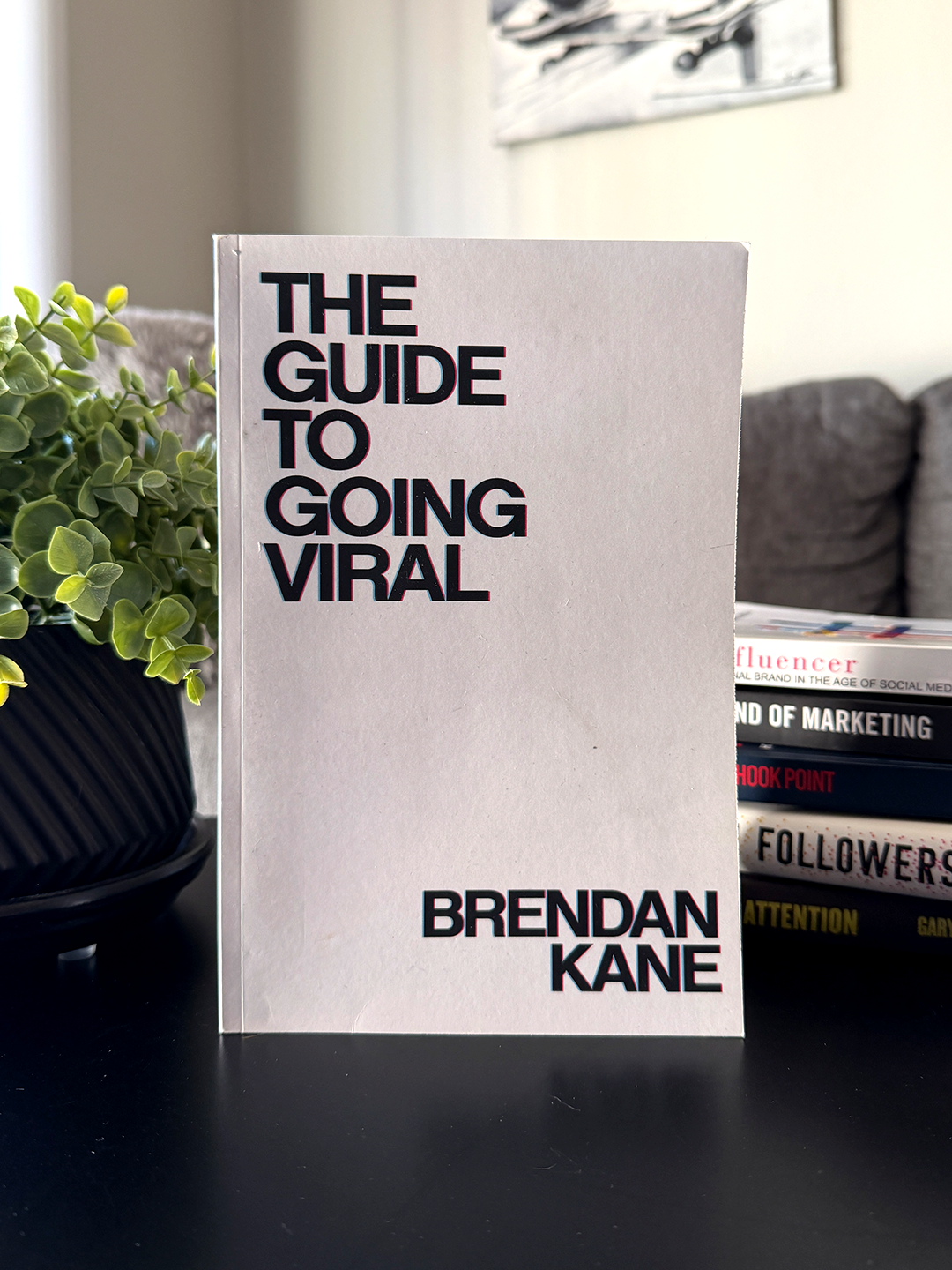 the guide to going viral brendan kane social media book
