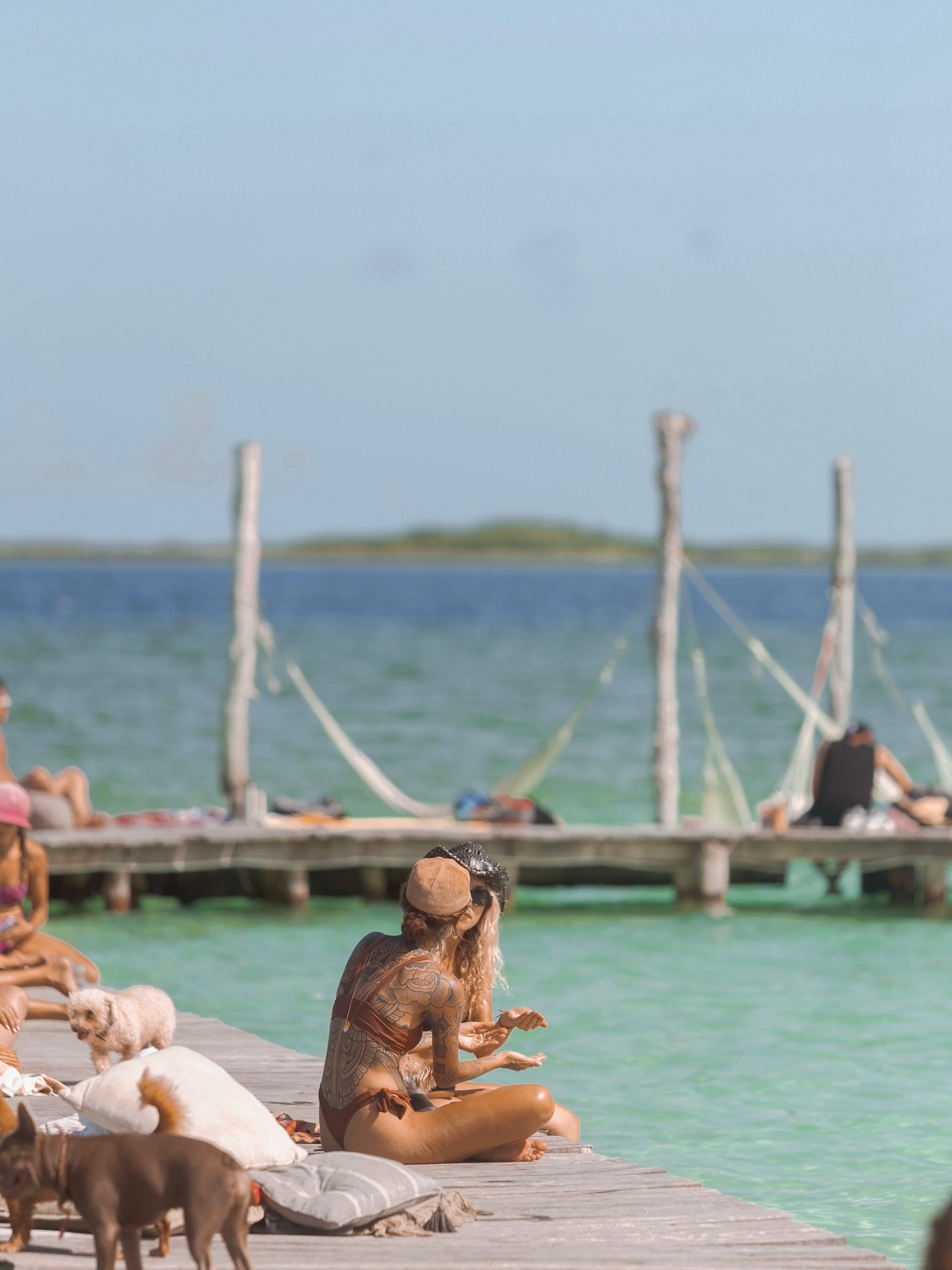 ✨Aflora connects you with hidden sanctuaries like @neektulum , located in the magical Laguna Nopalitos, where the jungle meets crystal-clear waters. 🌿💦

As an Aflora property owner, you can now enjoy exclusive access and benefits here, along with a