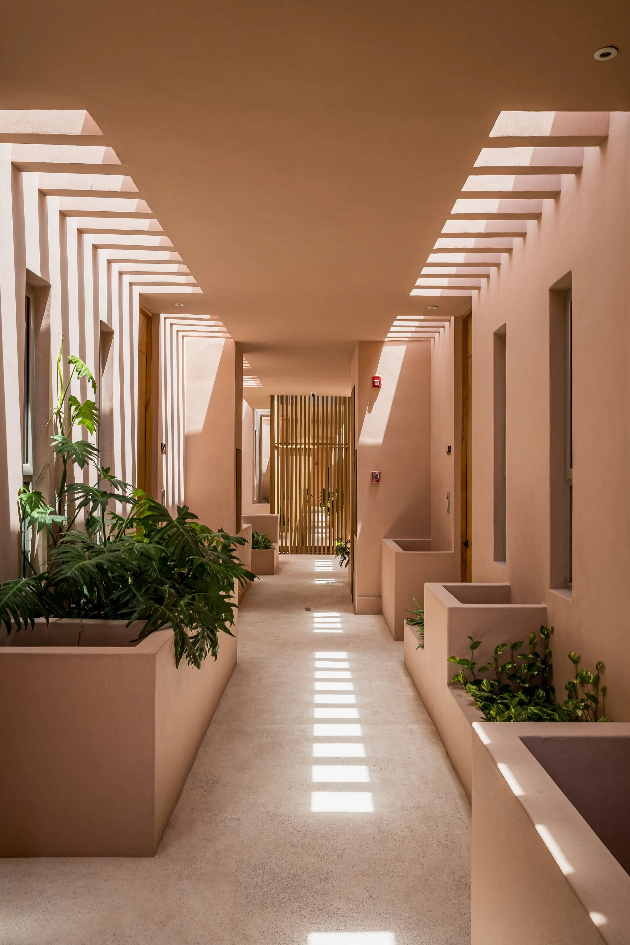 Real estate for sale, apartments and studios Aflora Tulum photos