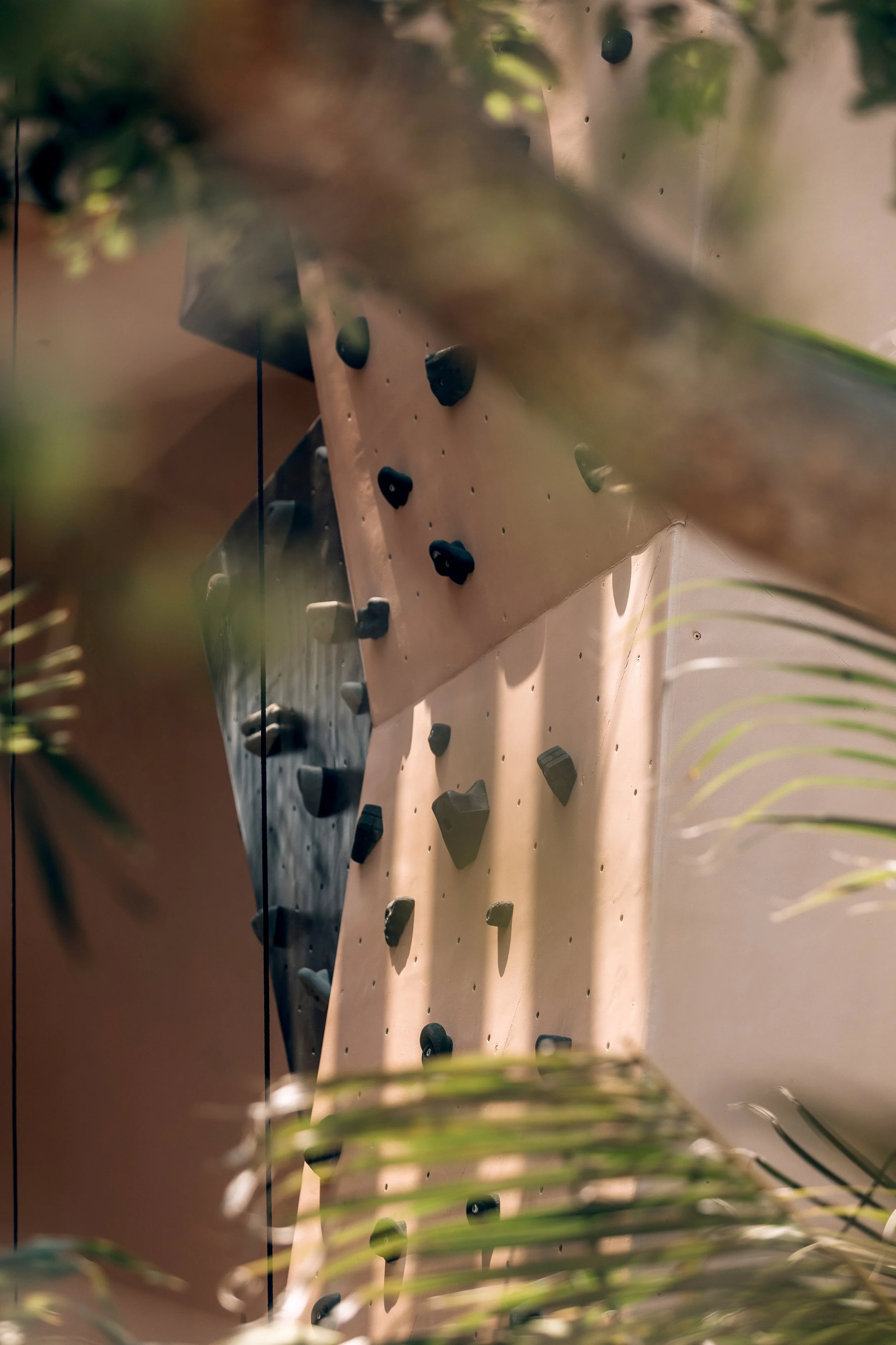 Aflora Tulum Photos Climbing Wall