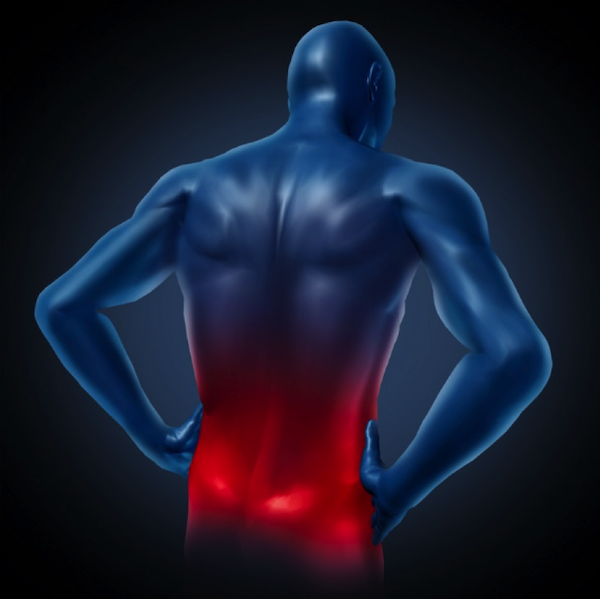 Work It Out: 5 Facts about Low Back Pain