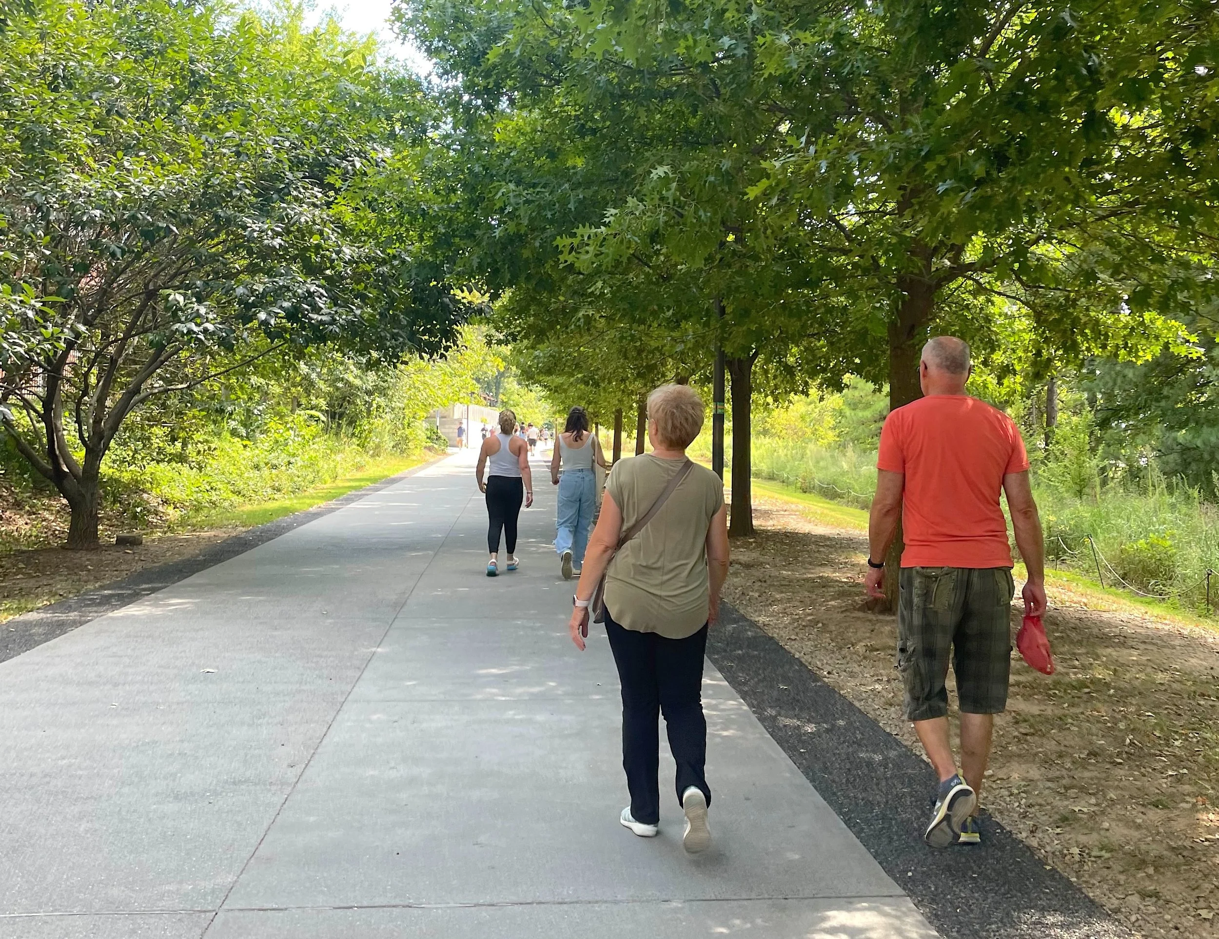 A Day to Start Walking to Health