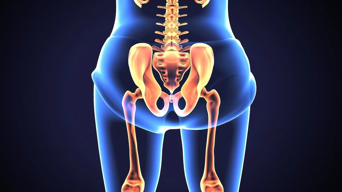 The Importance of Bone Health