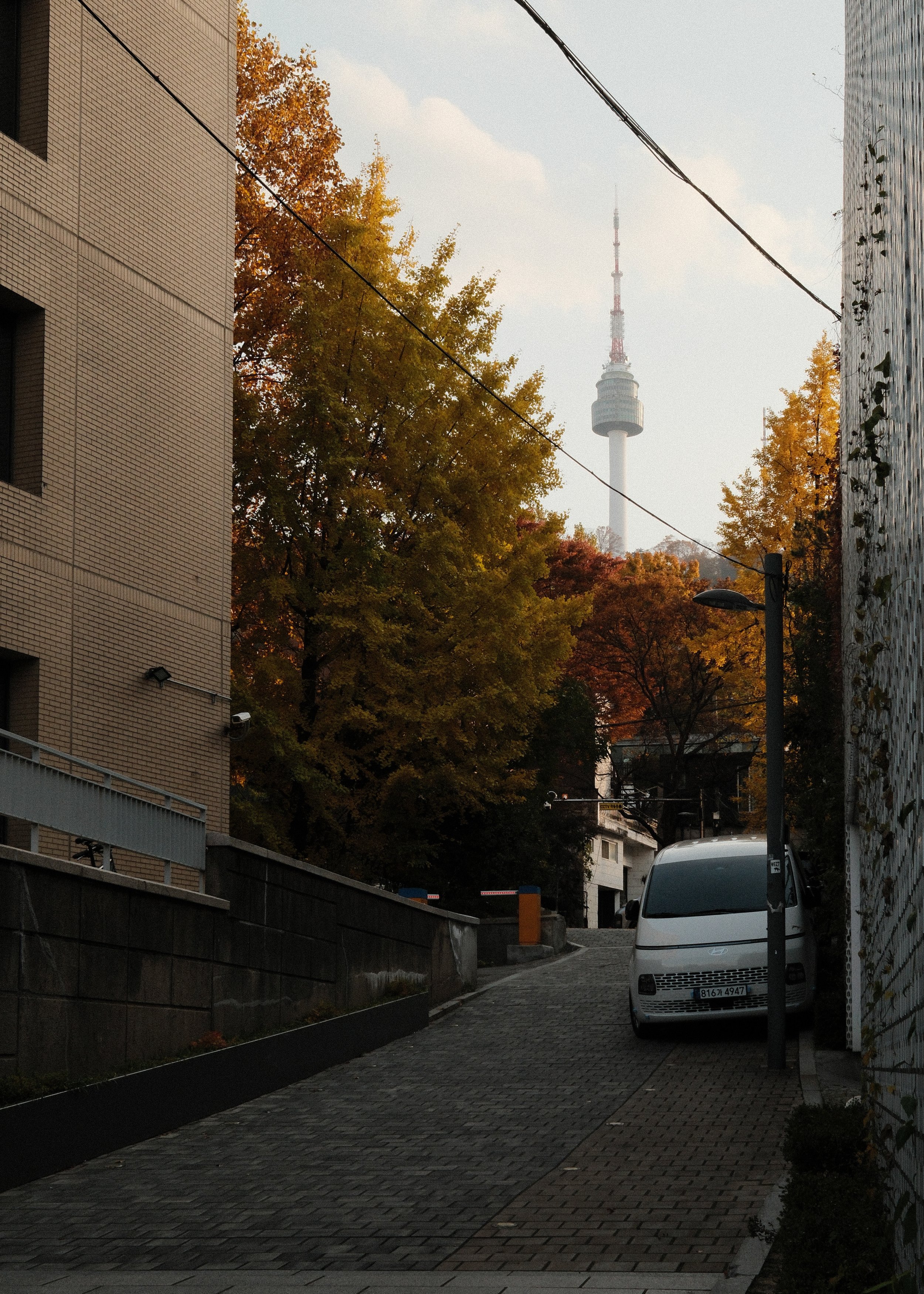 DSCF5540.jpg