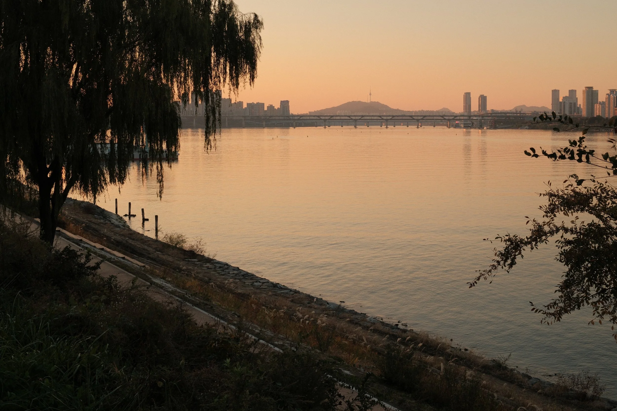 DSCF5310.jpg