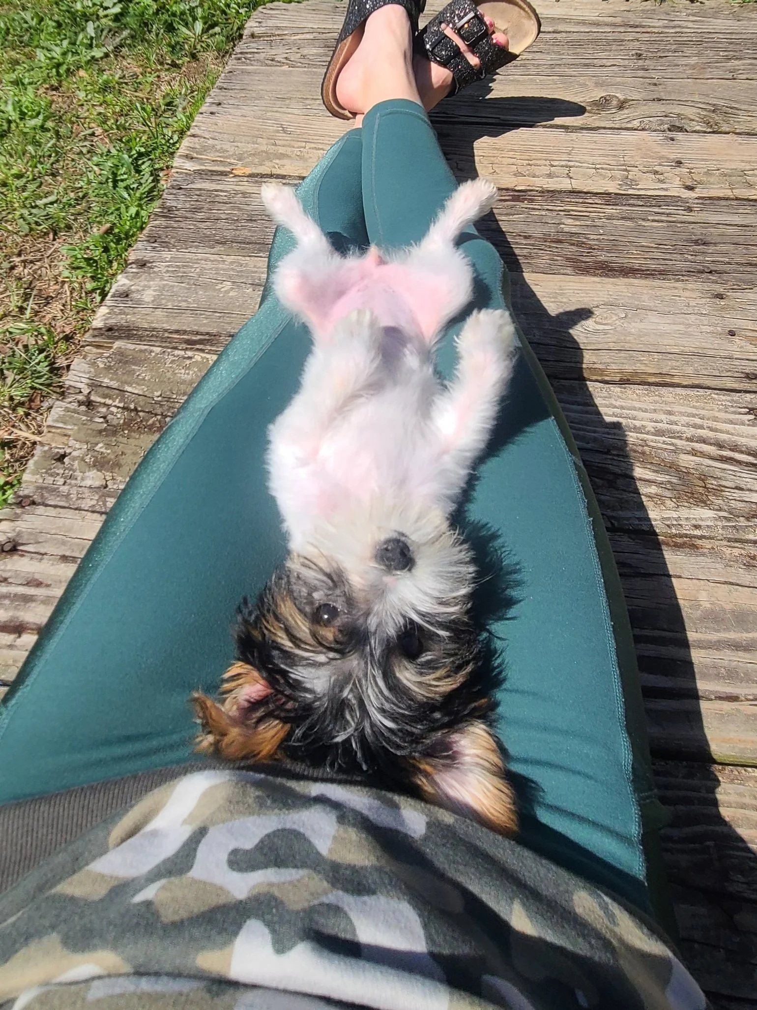 A small, fluffy puppy lying on its back on a person's lap, outdoors on a wooden surface, with person's legs and sandals visible.