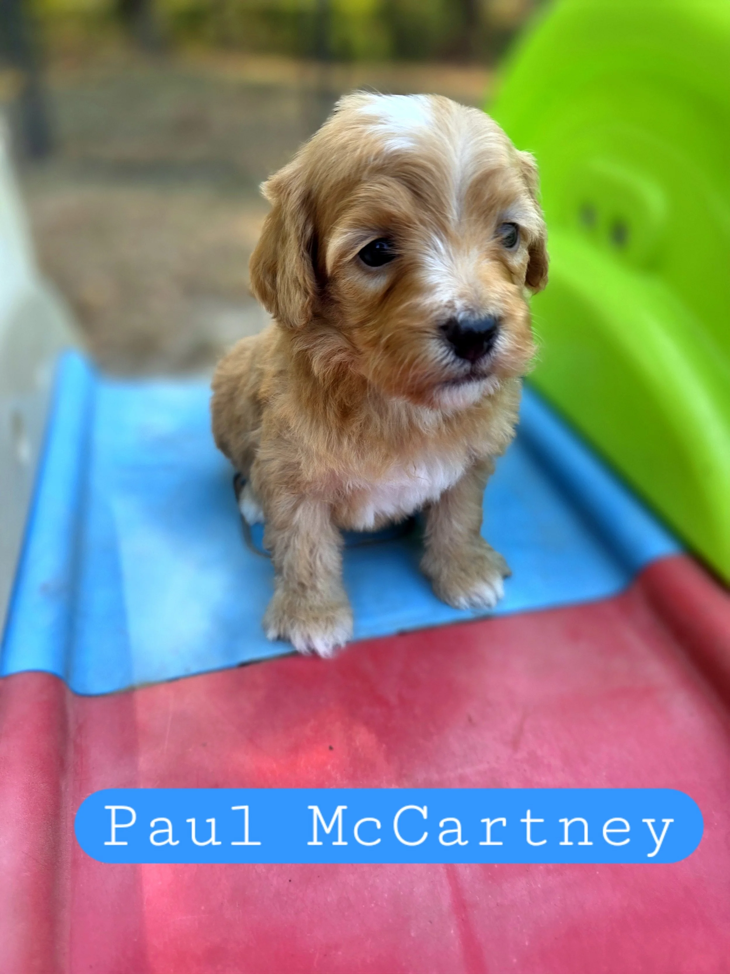 20260830_112652.jpg