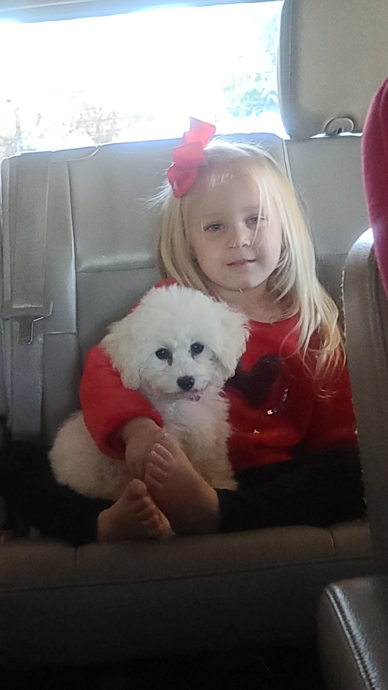 A young girl with long blonde hair, wearing a red shirt with a black bow, sitting on a car seat holding a fluffy white puppy.